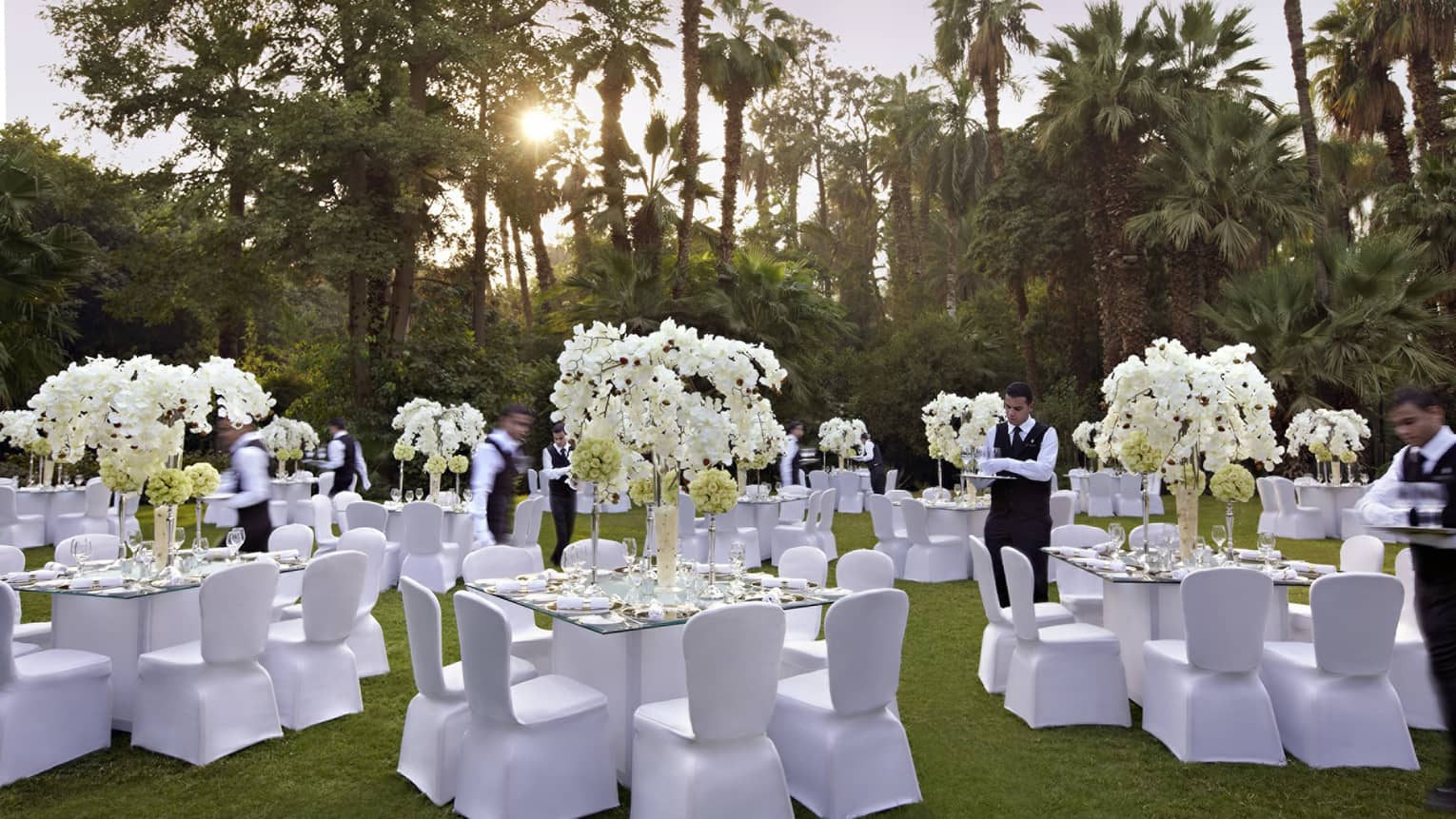 Wedding dining tables, chairs on lawn under palm trees at Manial Place