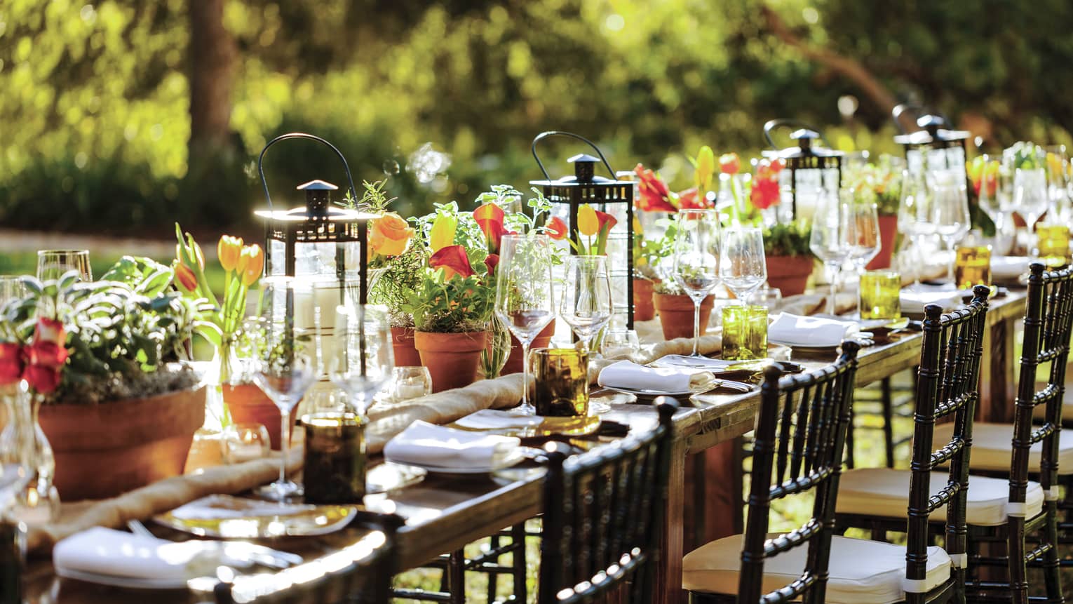 Long outdoor dining table in vineyard set with wine glasses, dishes, large lanterns, flowers