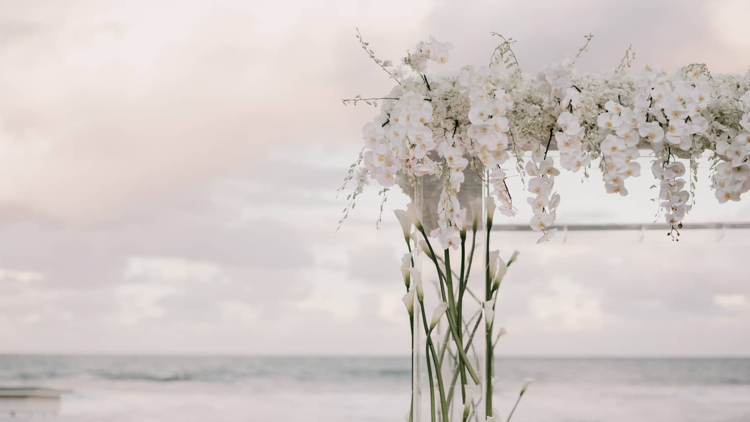 White orchids floral display against sky and ocean
