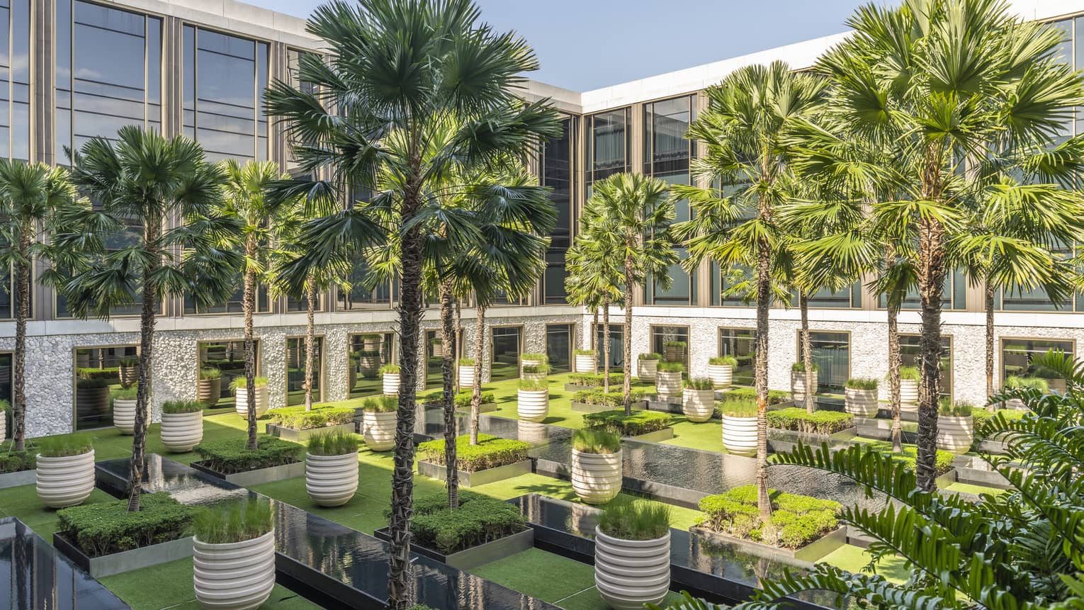 Palm Courtyard with towering palms and potted greenery