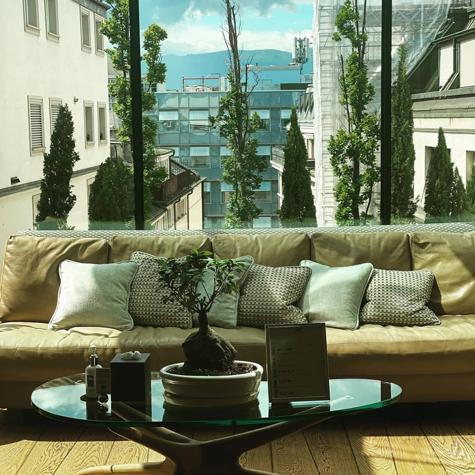 Beige sofa with decorative pillows, a small bonsai plant on a glass coffee table and a glass wall overlooking city buildings, trees and distant mountains
