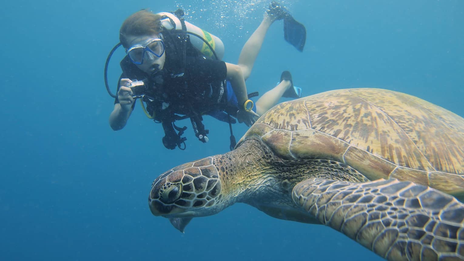 Scuba diver with underwater camera takes photo of large turtle