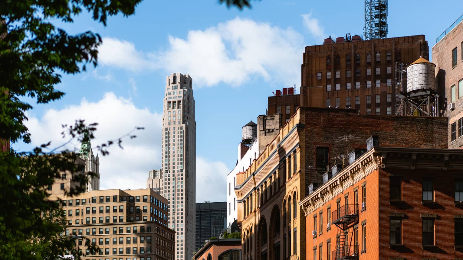 Cityscape with historic and modern buildings under a bright blue sky, framed by the leaves and branches of a tree