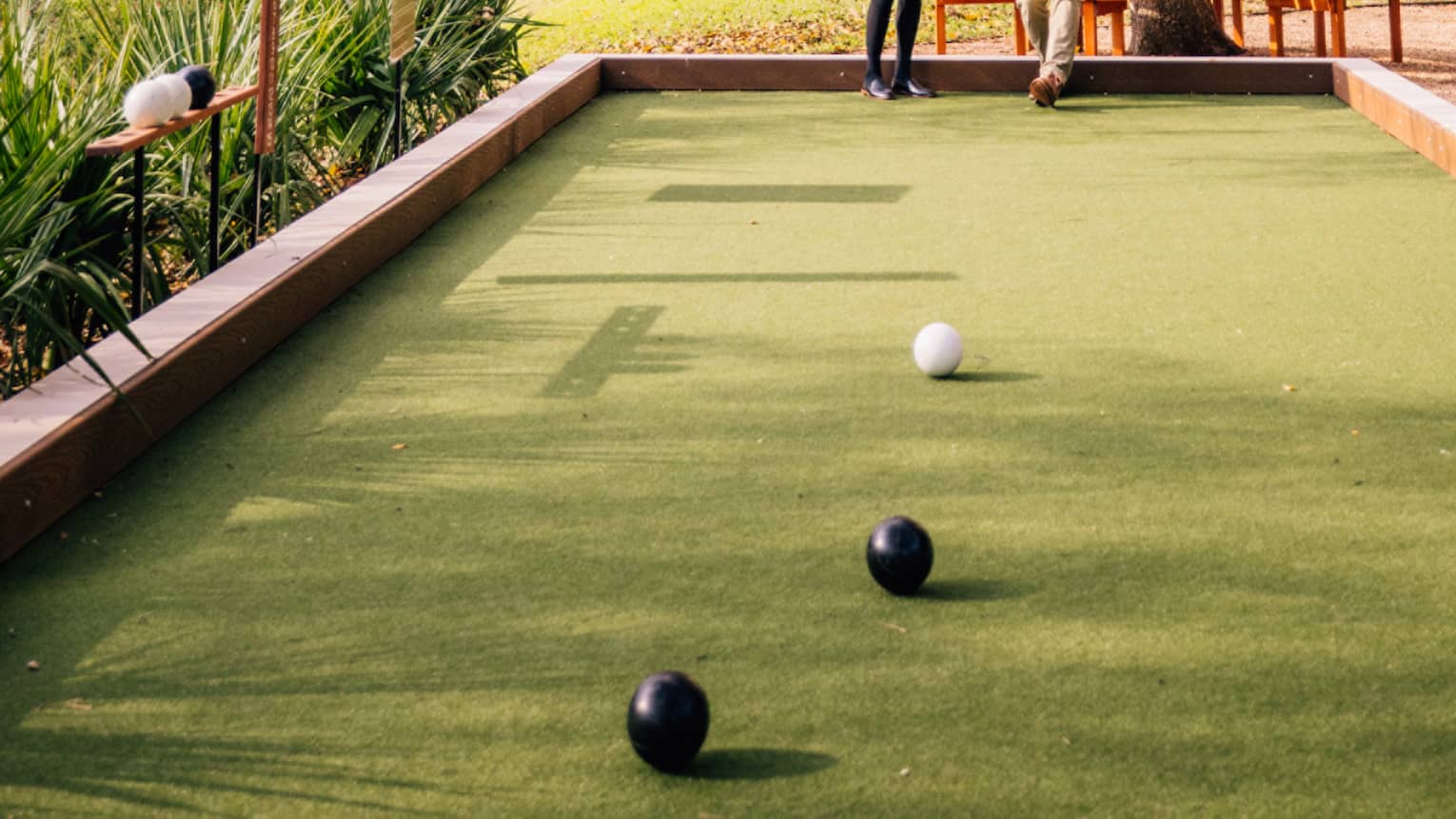 Two people play bocce ball beneath a tree
