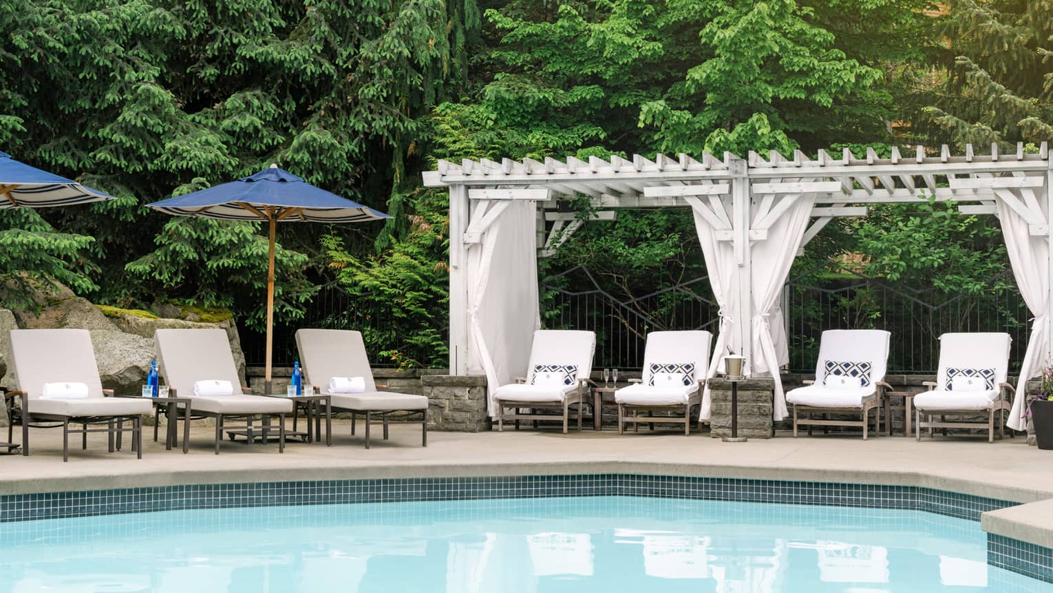 Lounge chairs around an outdoor pool with tall trees surrounding them.