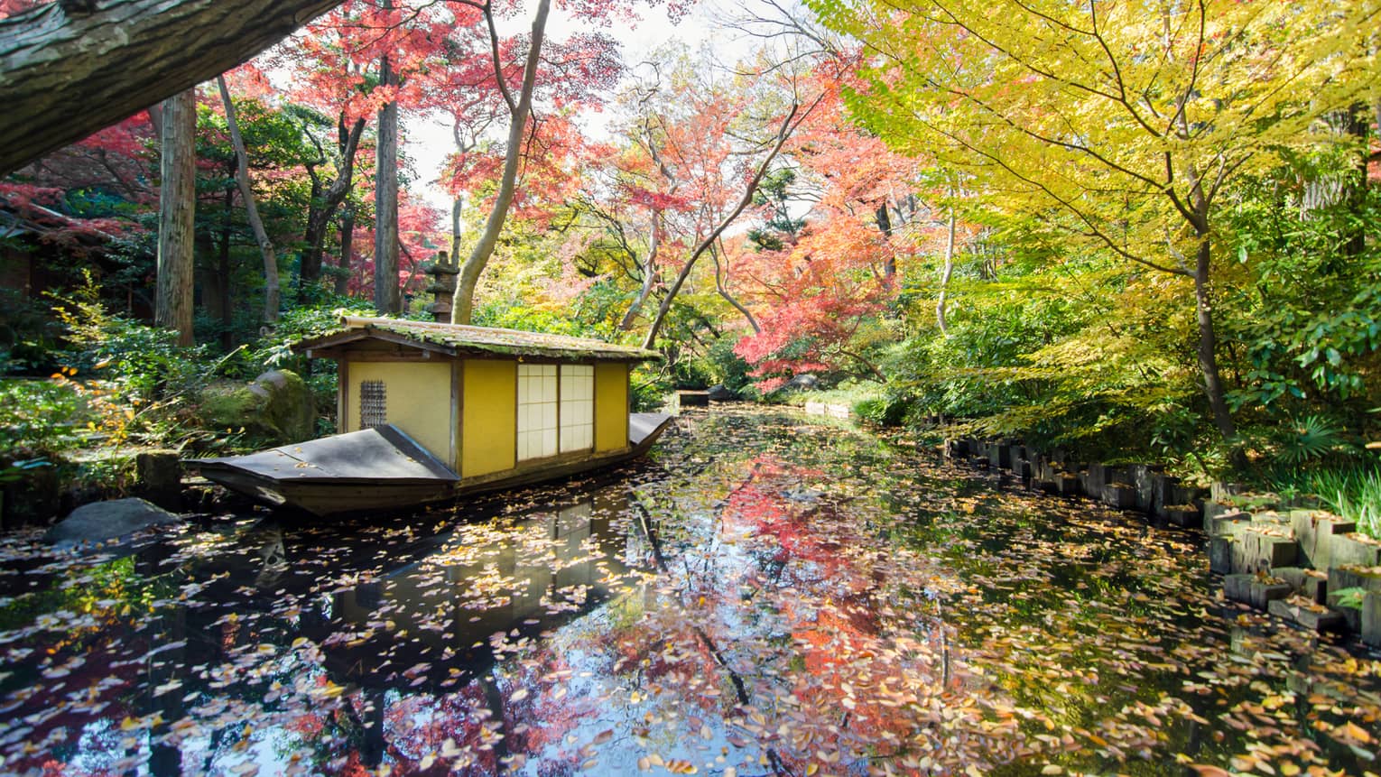 A house boat floats along a leaf-covered lake