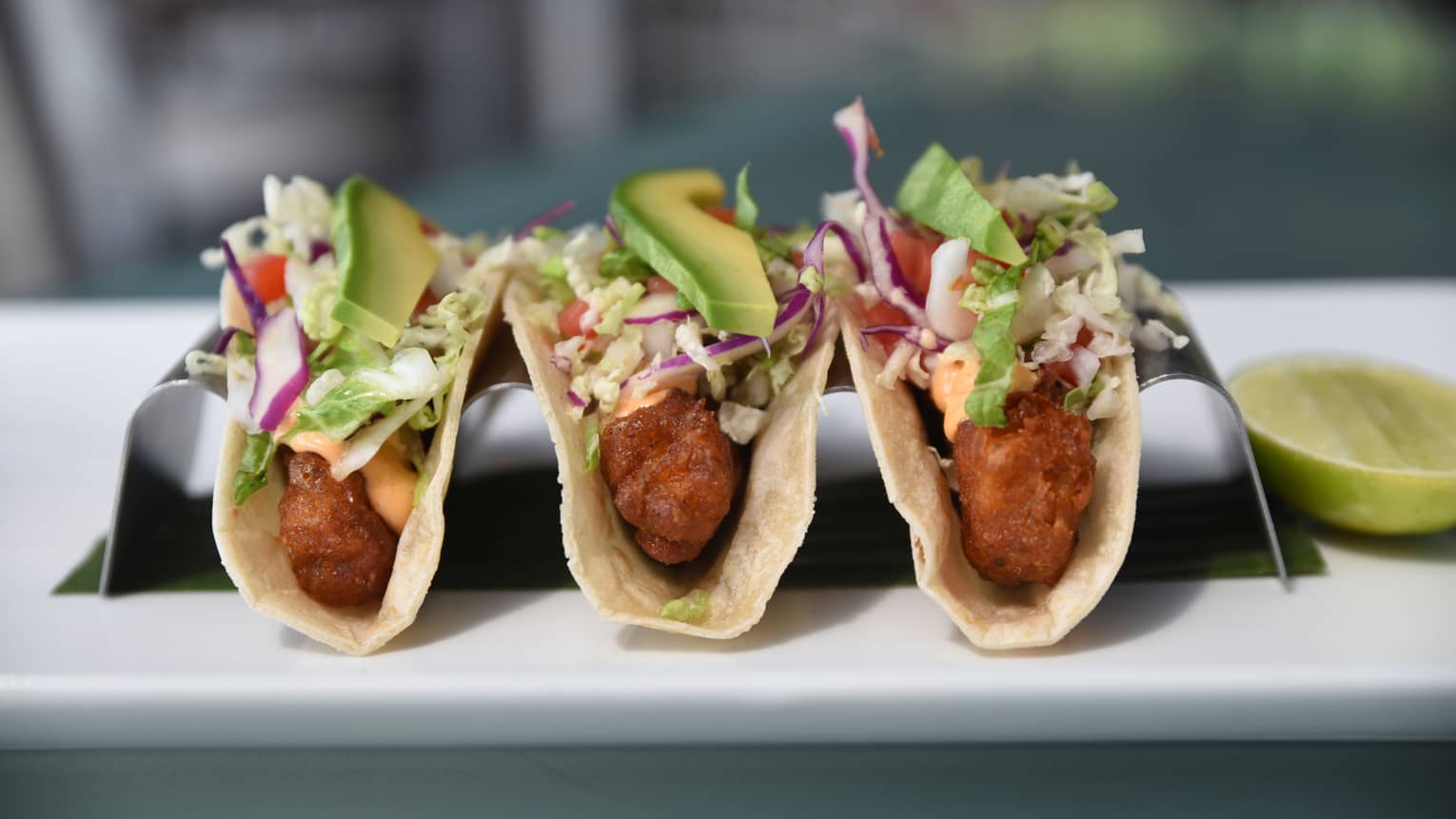 Three crispy tacos in silver stand with fried catch-of-the-day fish, red cabbage, avocado slices, chipotle mayo