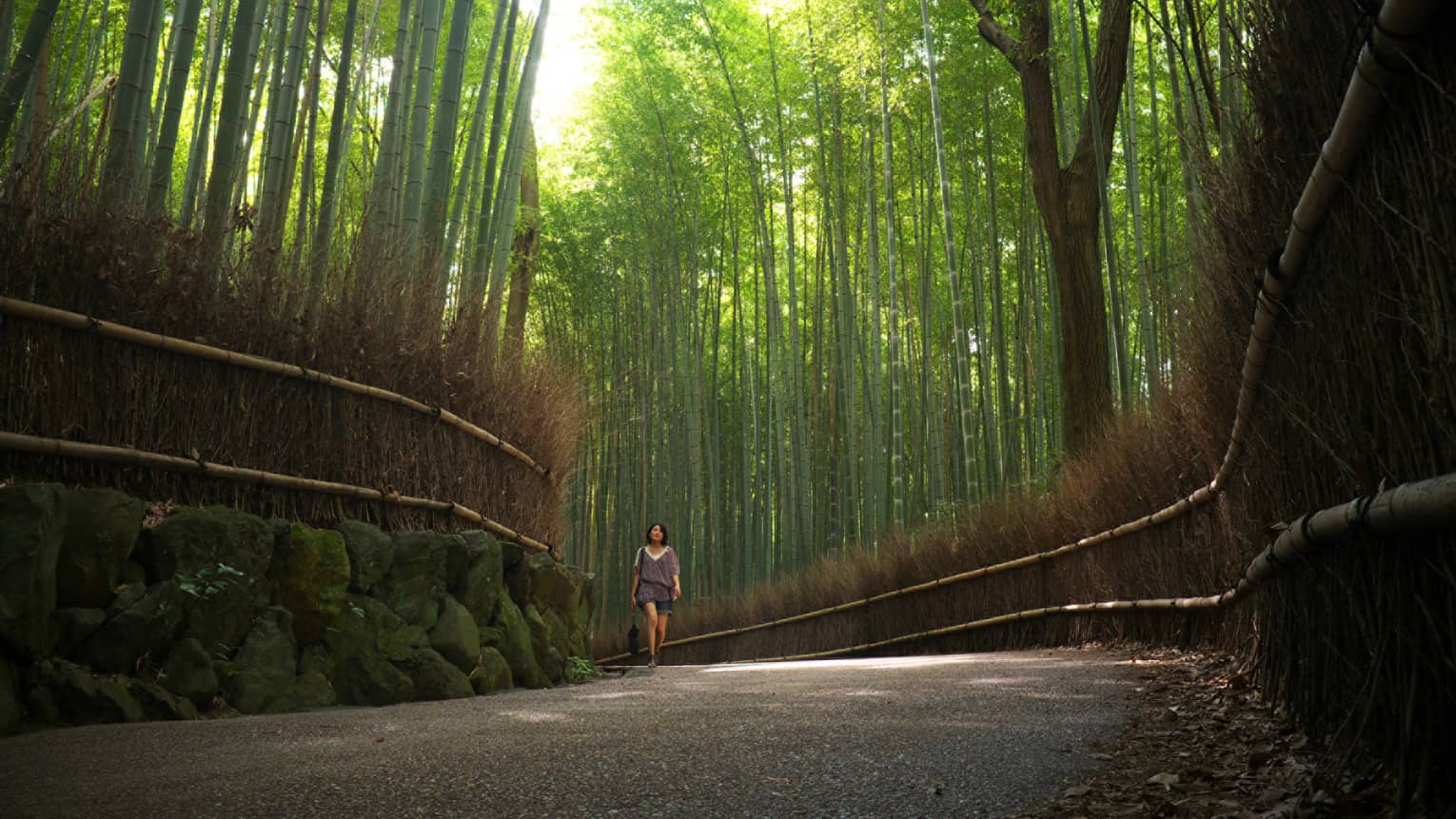 A guest walking along a tranquil, bamboo-lined pathway