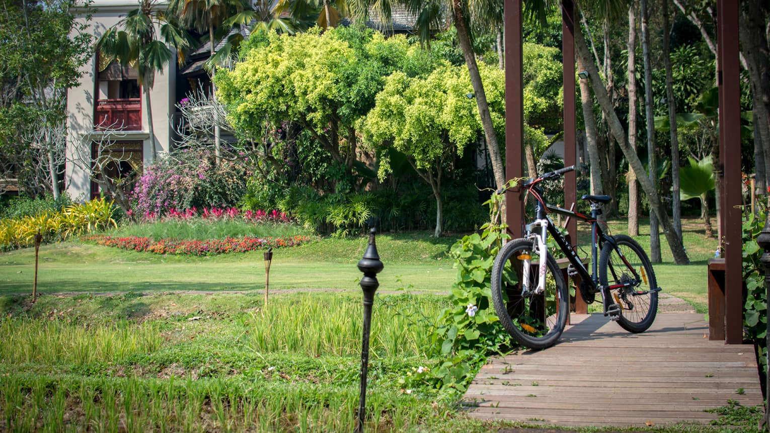 Bicycle leans against pergola on wood path under trees, by garden