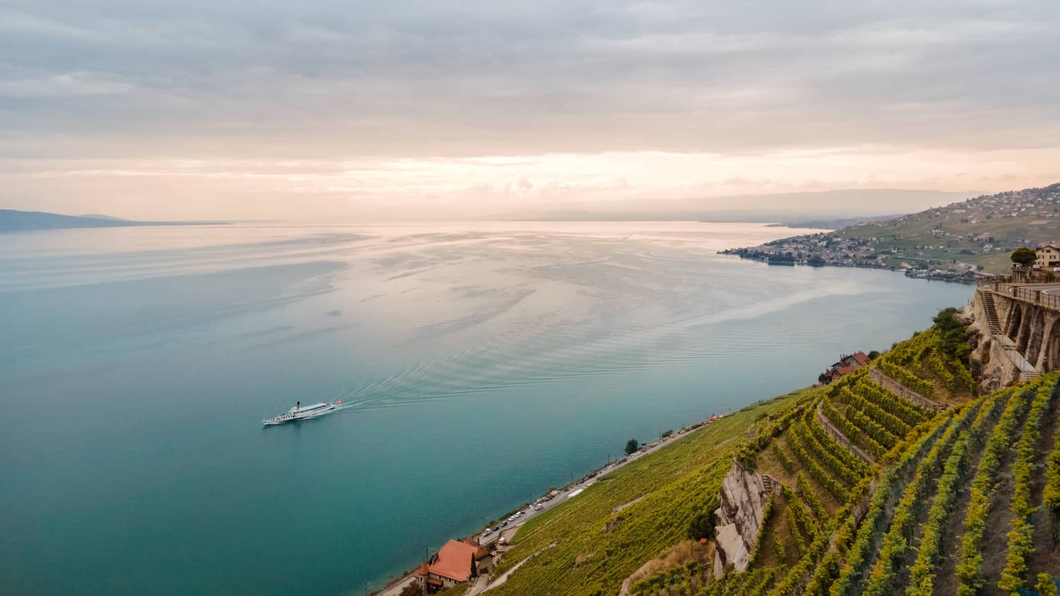 Terraced Lavaux Vineyards rising beside Lake Geneva