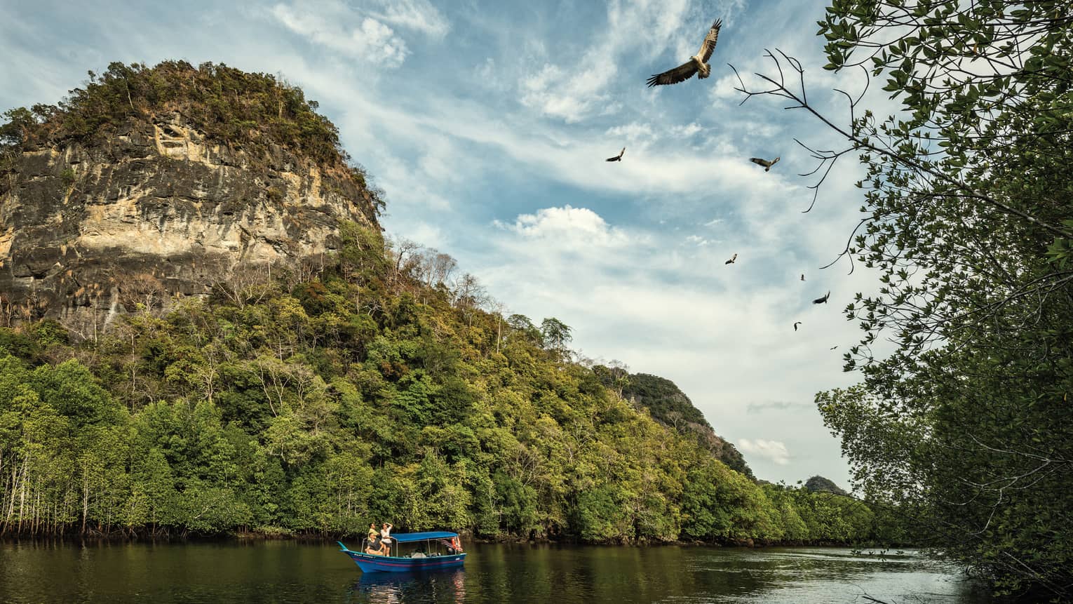 A majestic mountain rainforest looms behind tourists in a small, canopied riverboat as they watch eagles soaring high above.