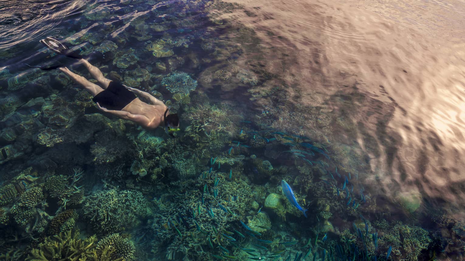Aerial view of man snorkelling over colourful lagoon in Maldives