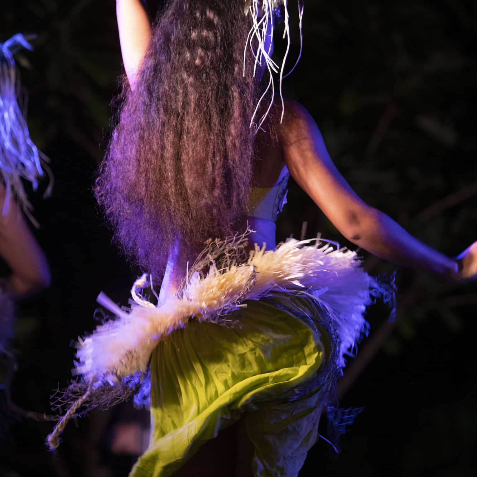 Hawaiian hula dancer