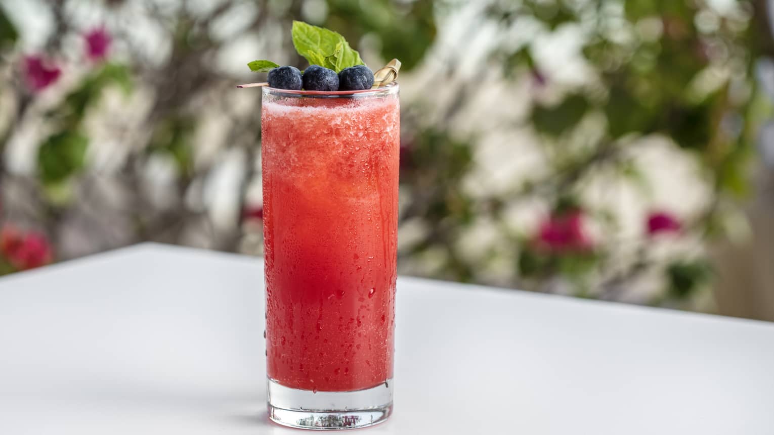 A bright red cocktail with a blueberry garnish.