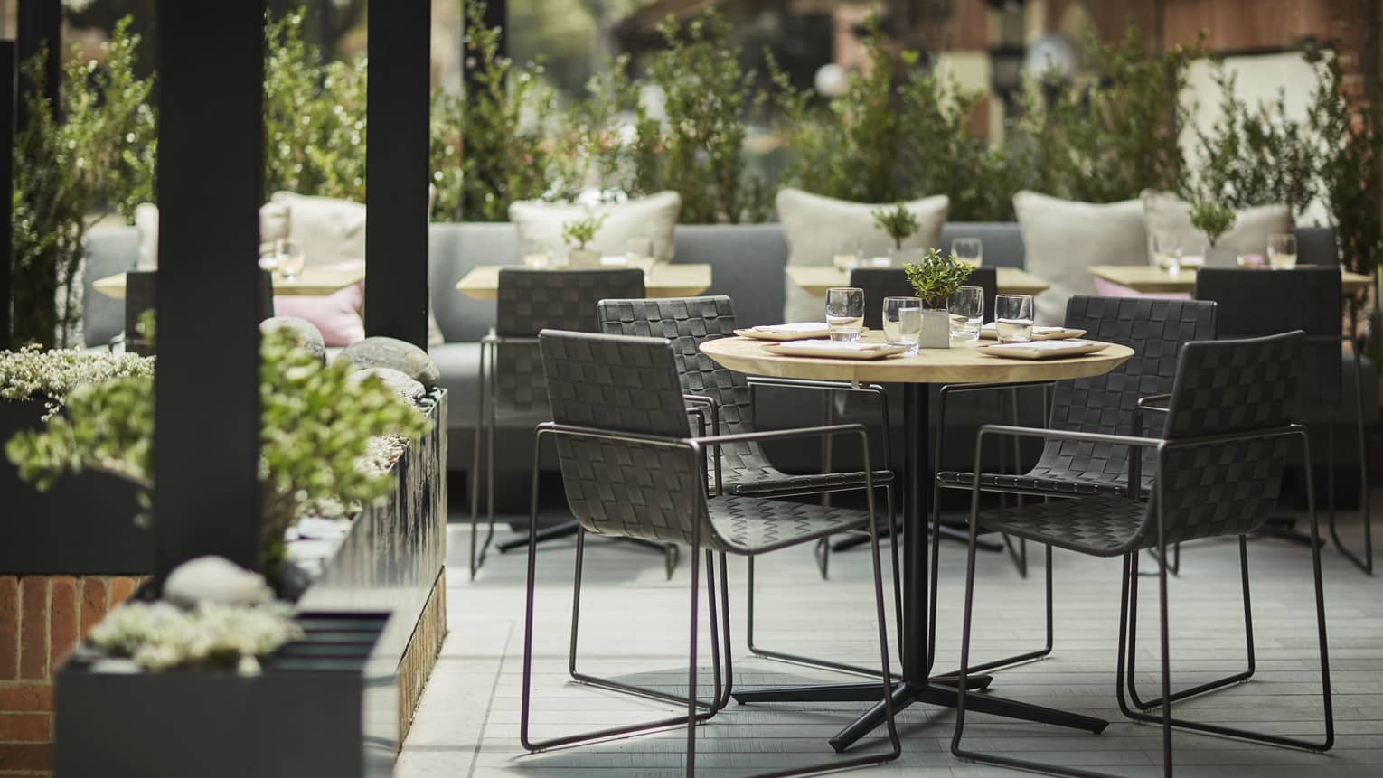 Several black chairs around a small white table, with white flowers planted all around.