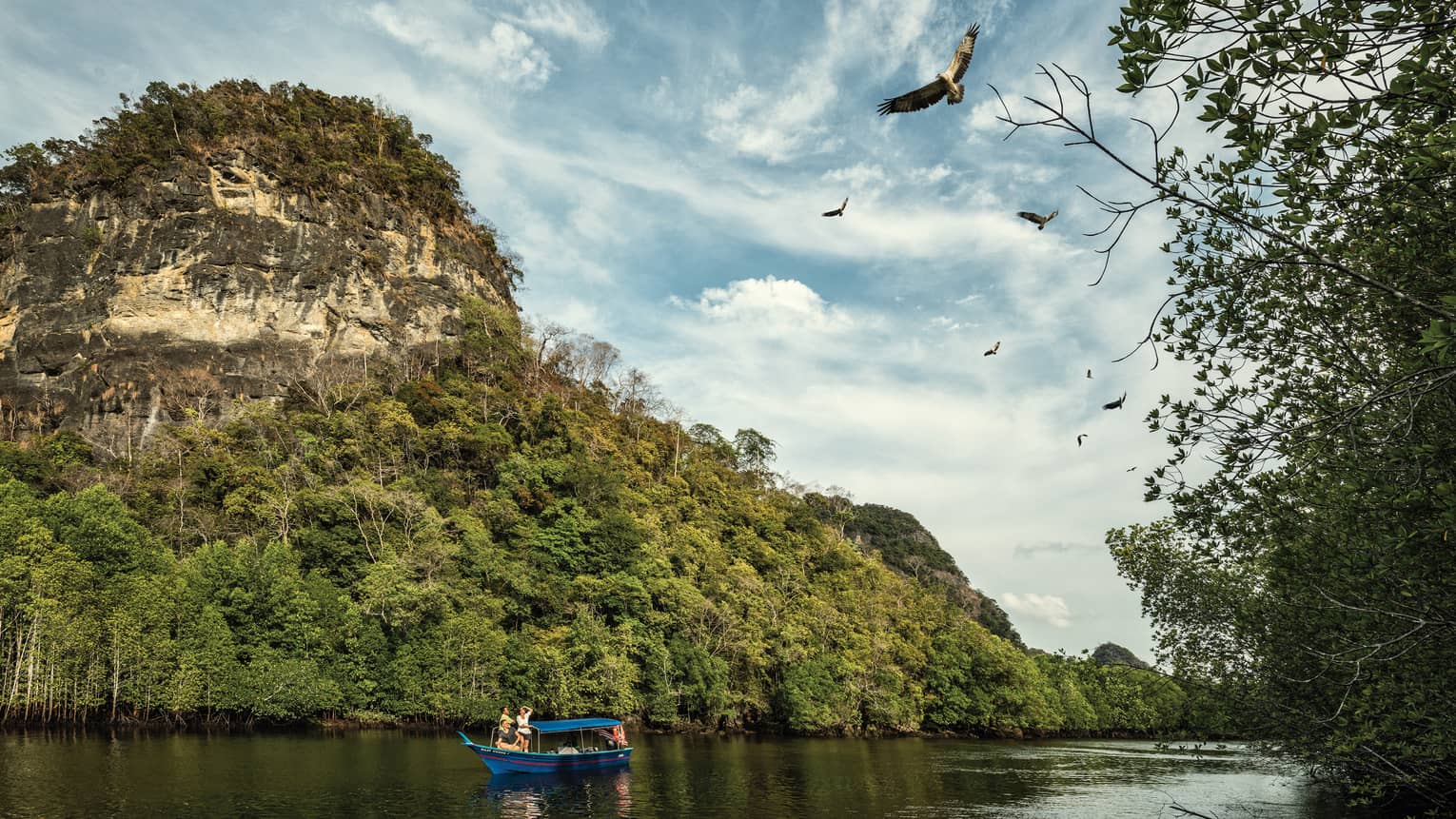 A majestic mountain rainforest looms behind tourists in a small, canopied riverboat as they watch eagles soaring high above.