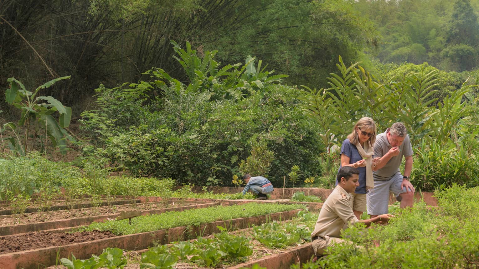 Couple is shown regional herbs, fruits and vegetables by kneeling staff member in lush garden
