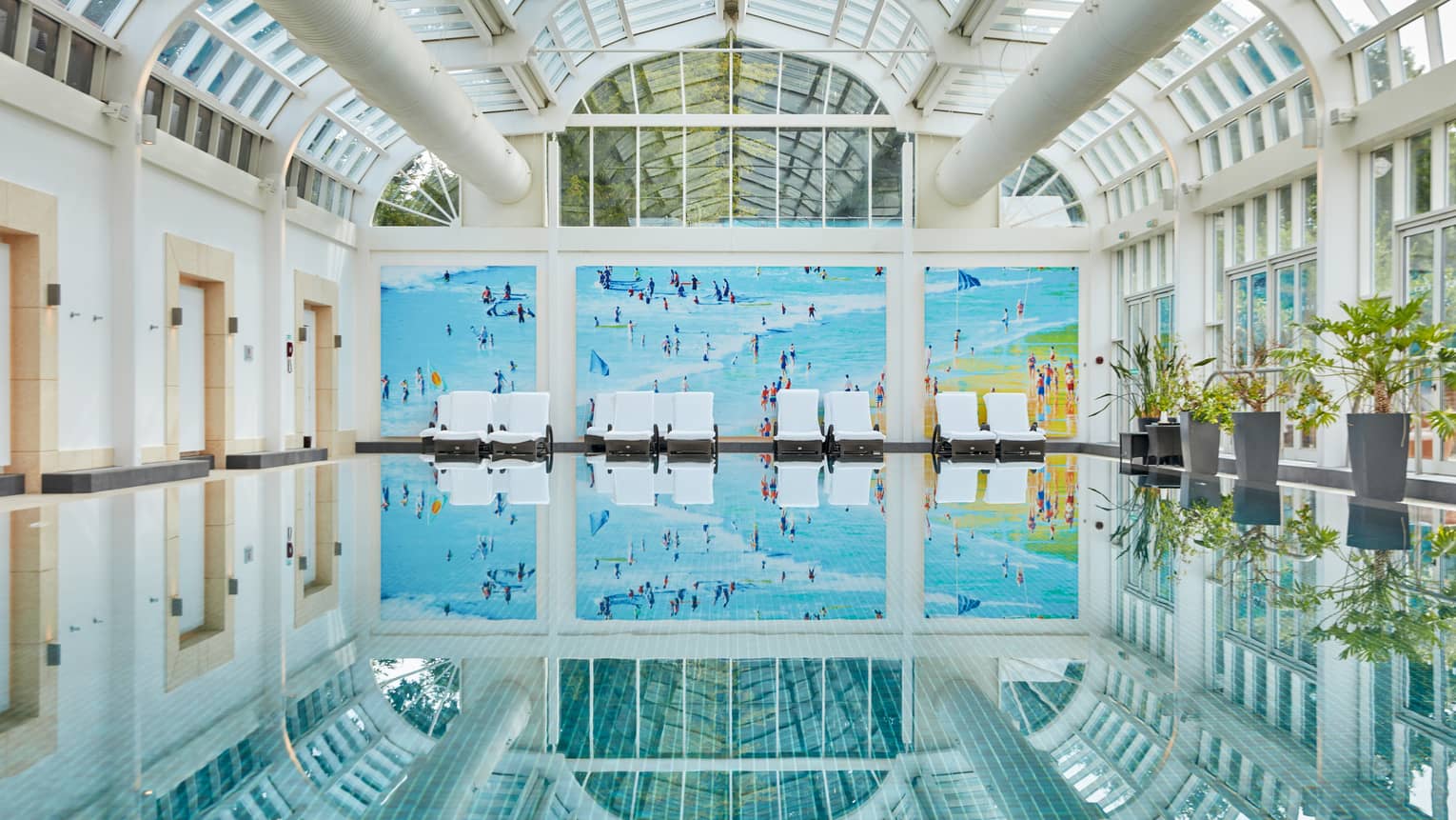 An indoor pool with a glass ceiling above and plants on one side.