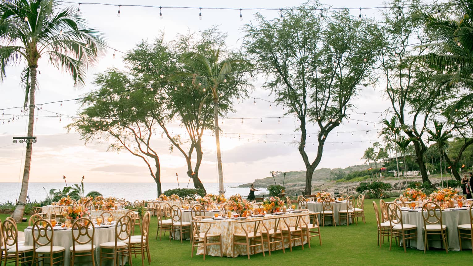 A group of long tables decorated for a wedding on green grass with tall, thin, trees surrounding them.