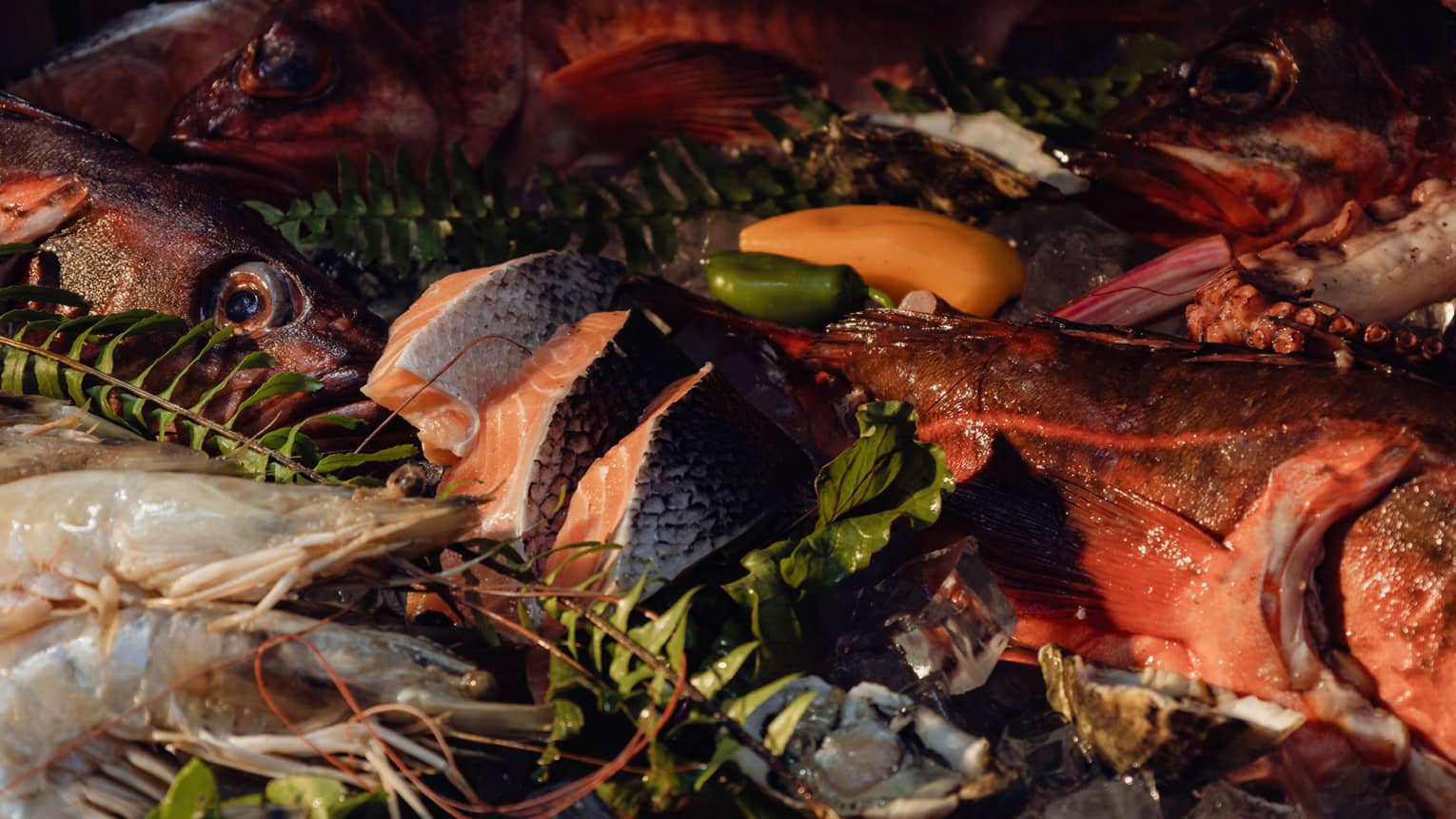 A colourful display of seafood items