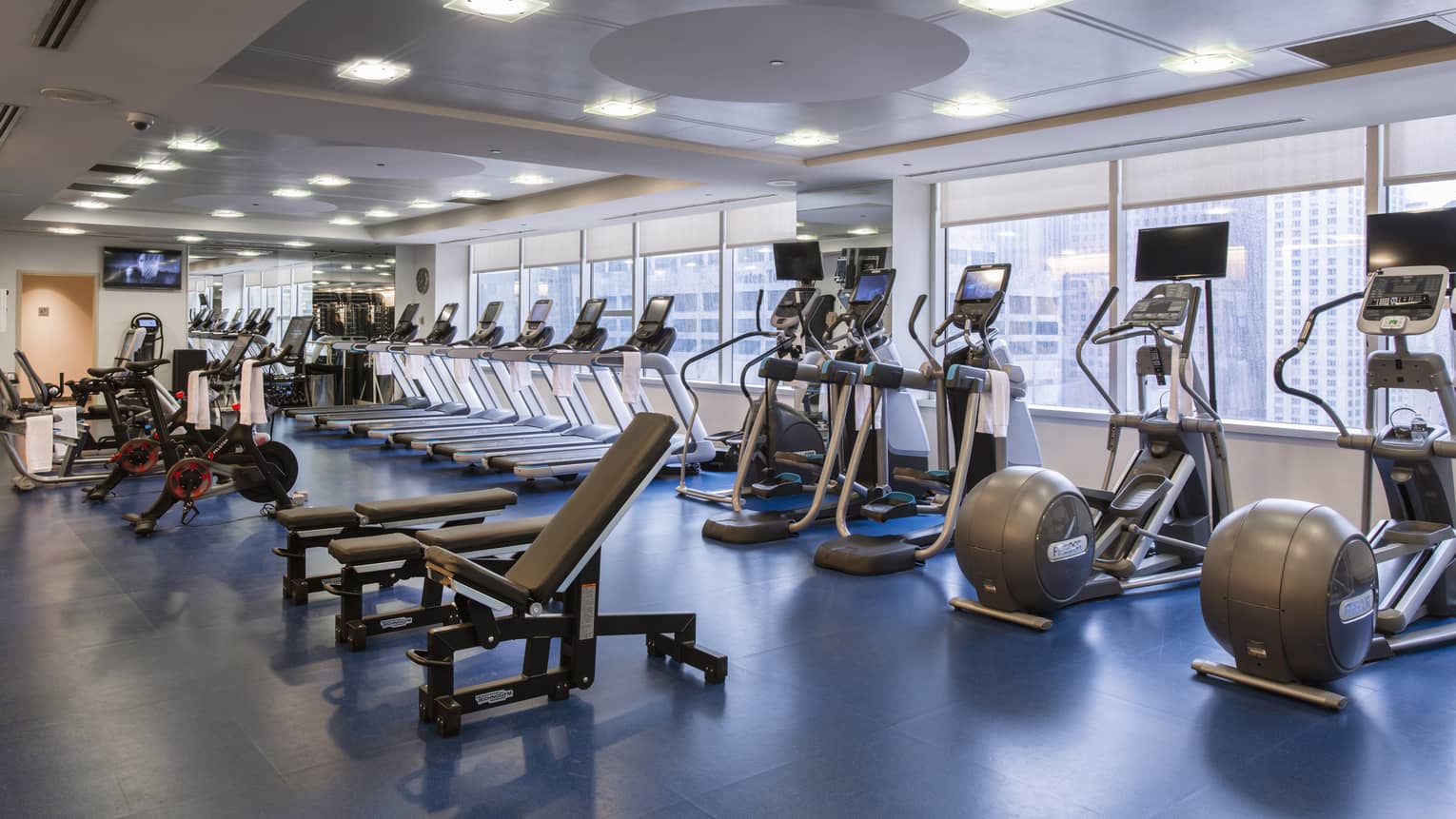 A large gym with cardio machines and large windows.