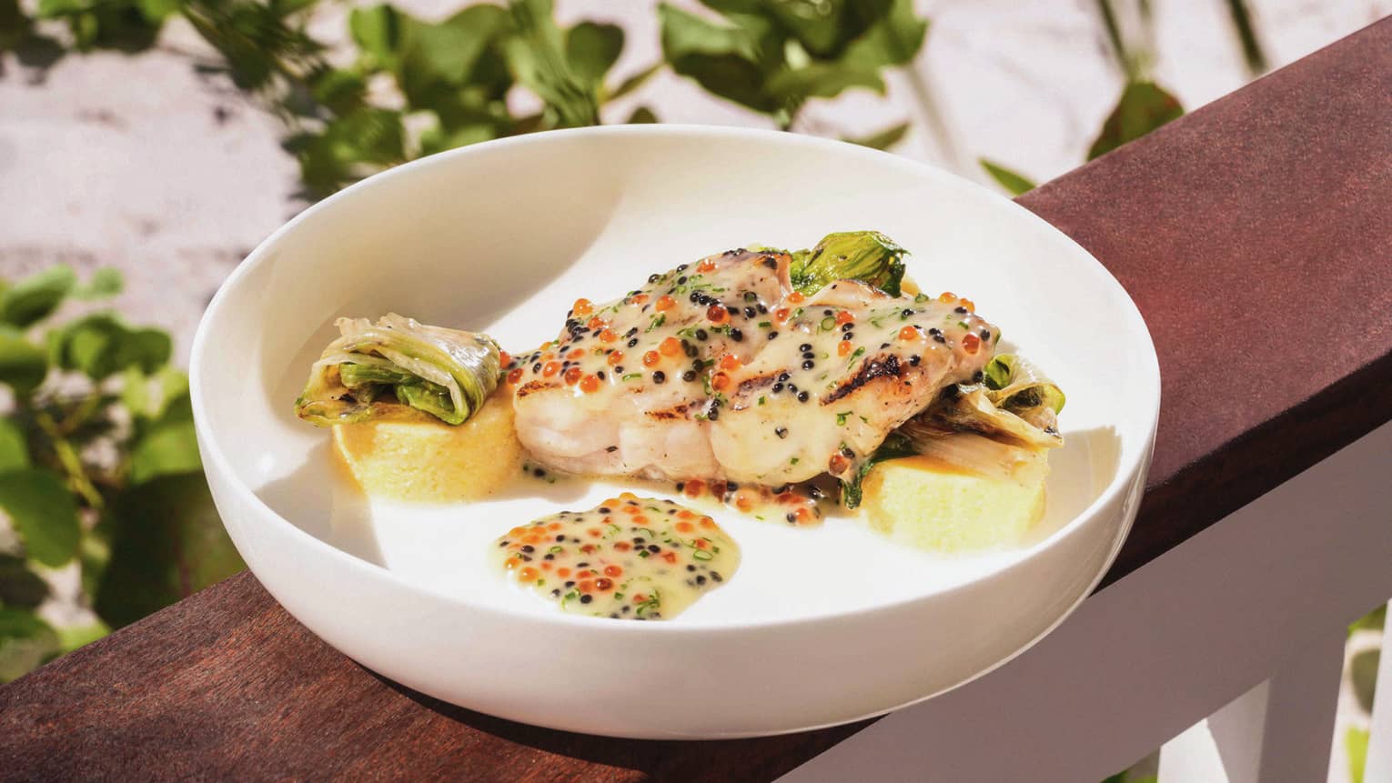 Grouper served in a wide white bowl