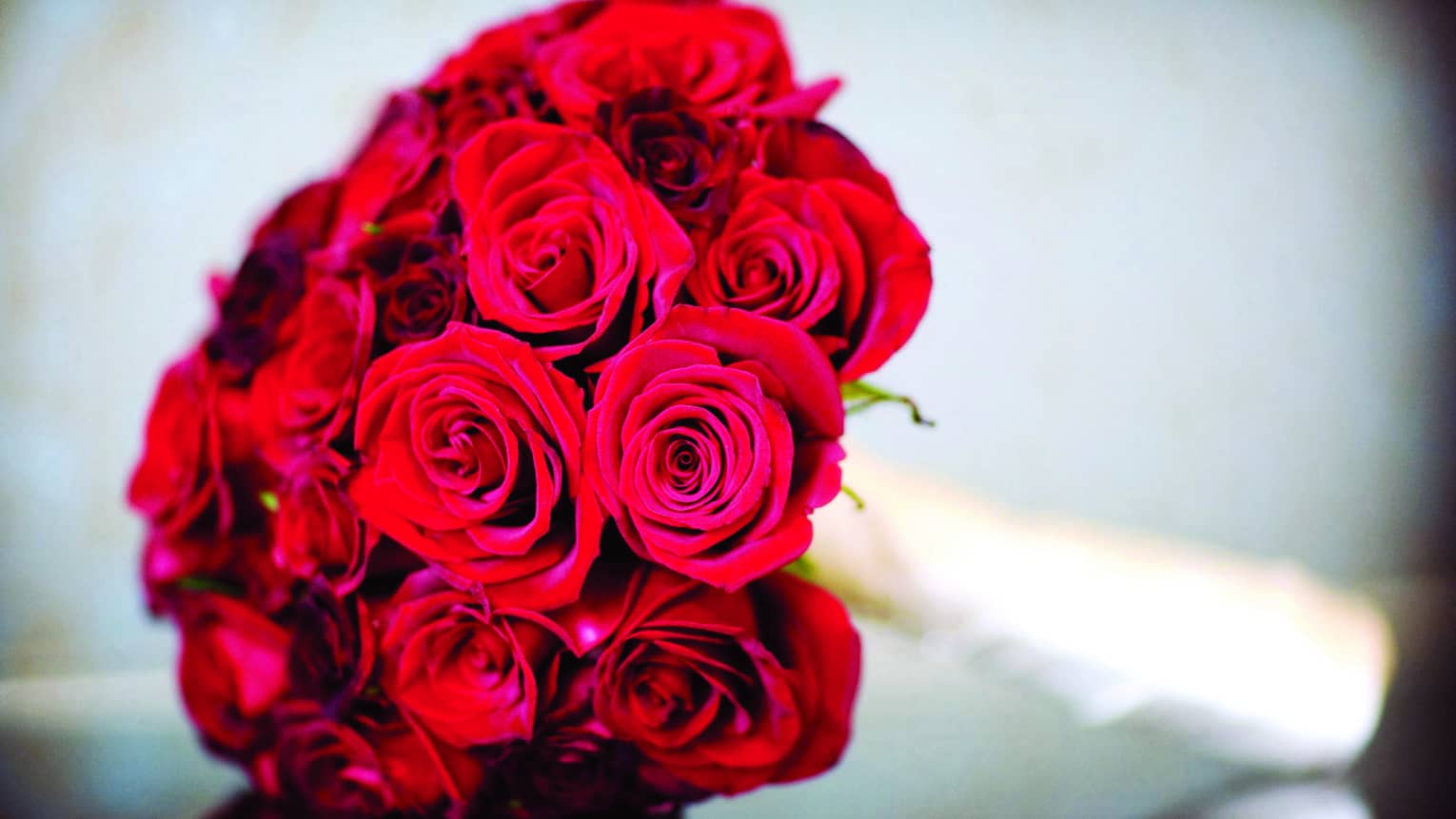 Close-up of top of bouquet of red roses 