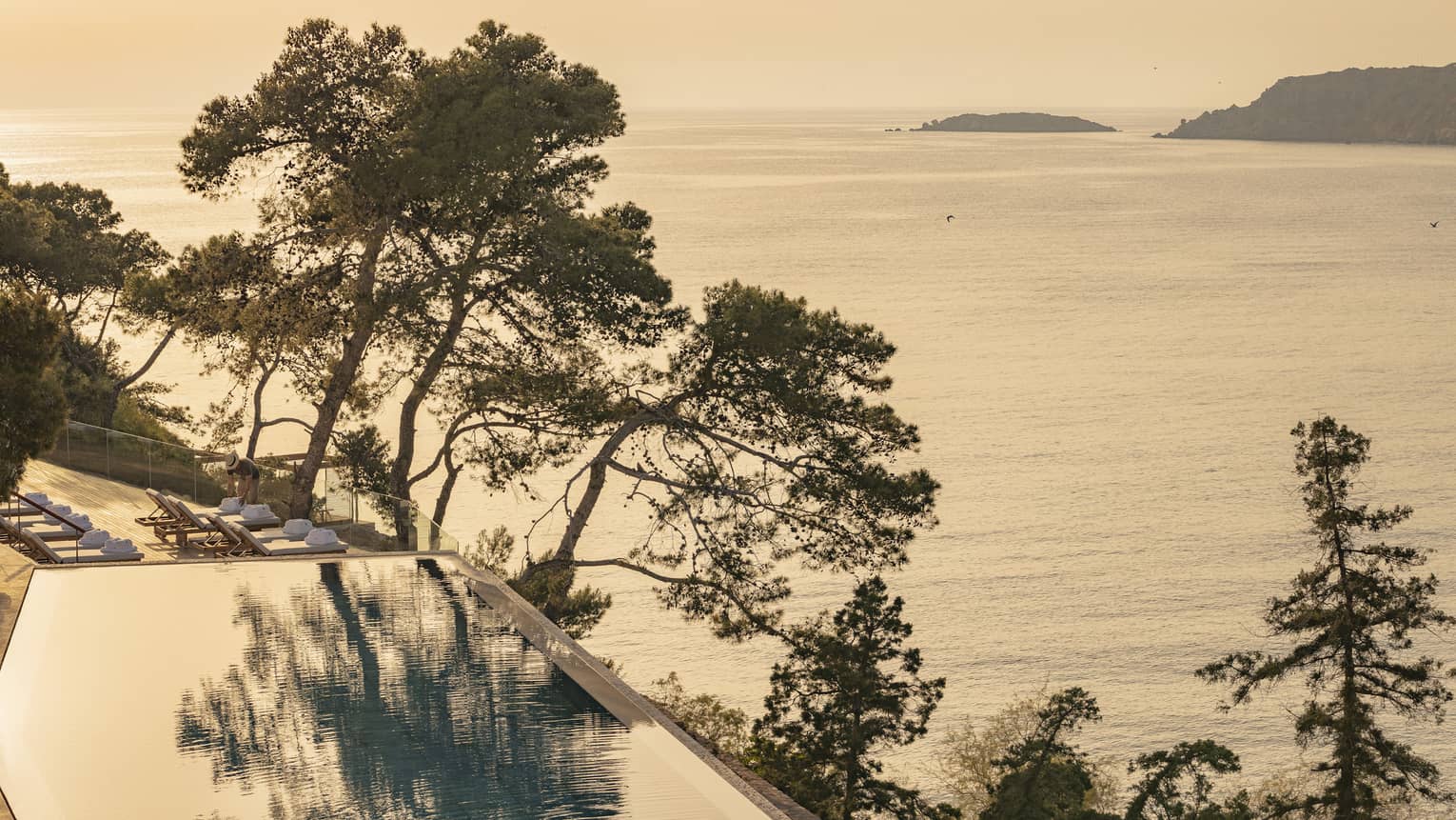 A pool with trees and ocean views in the background