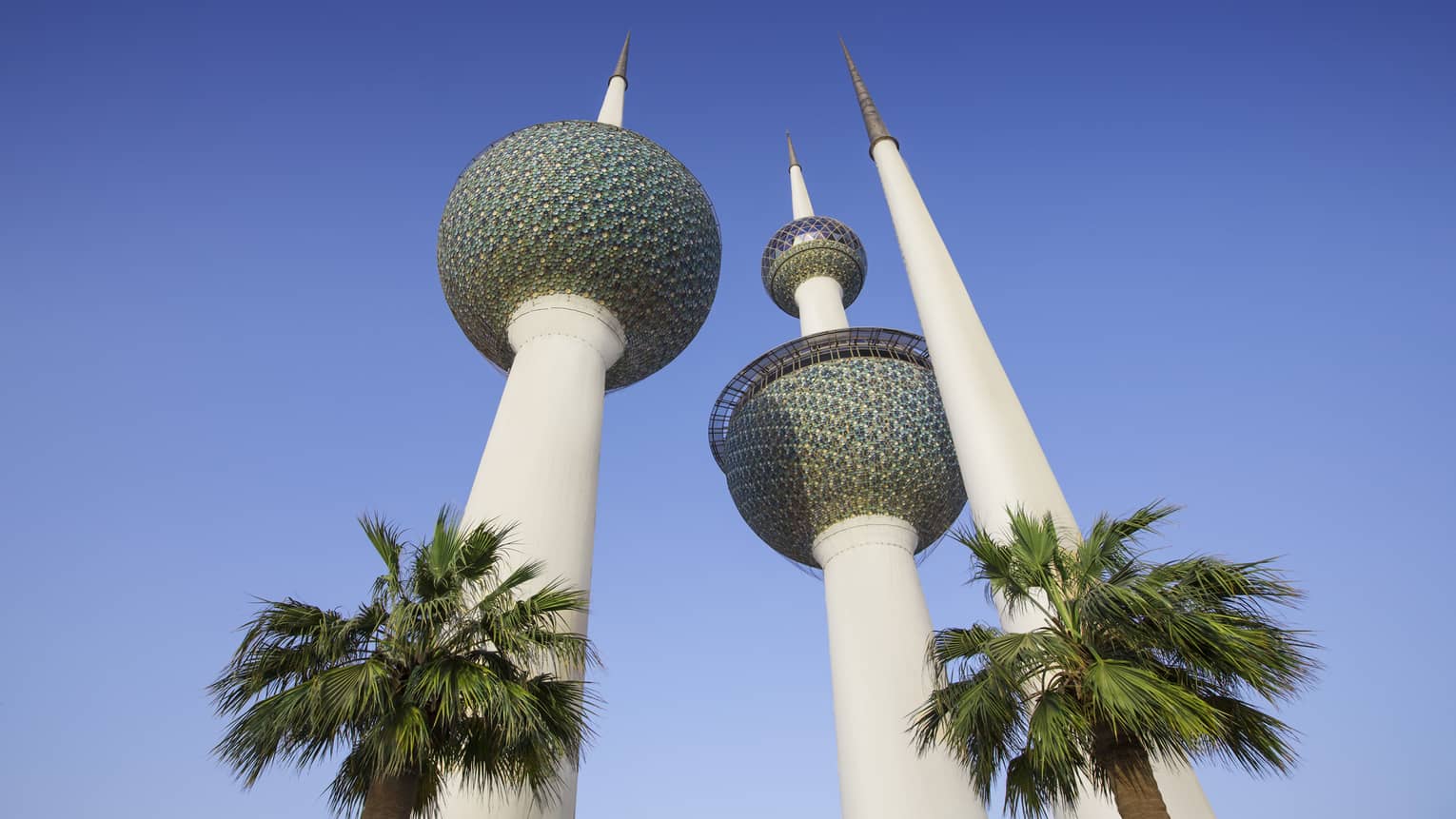 An upward angle of ornate white pillars next to palm trees