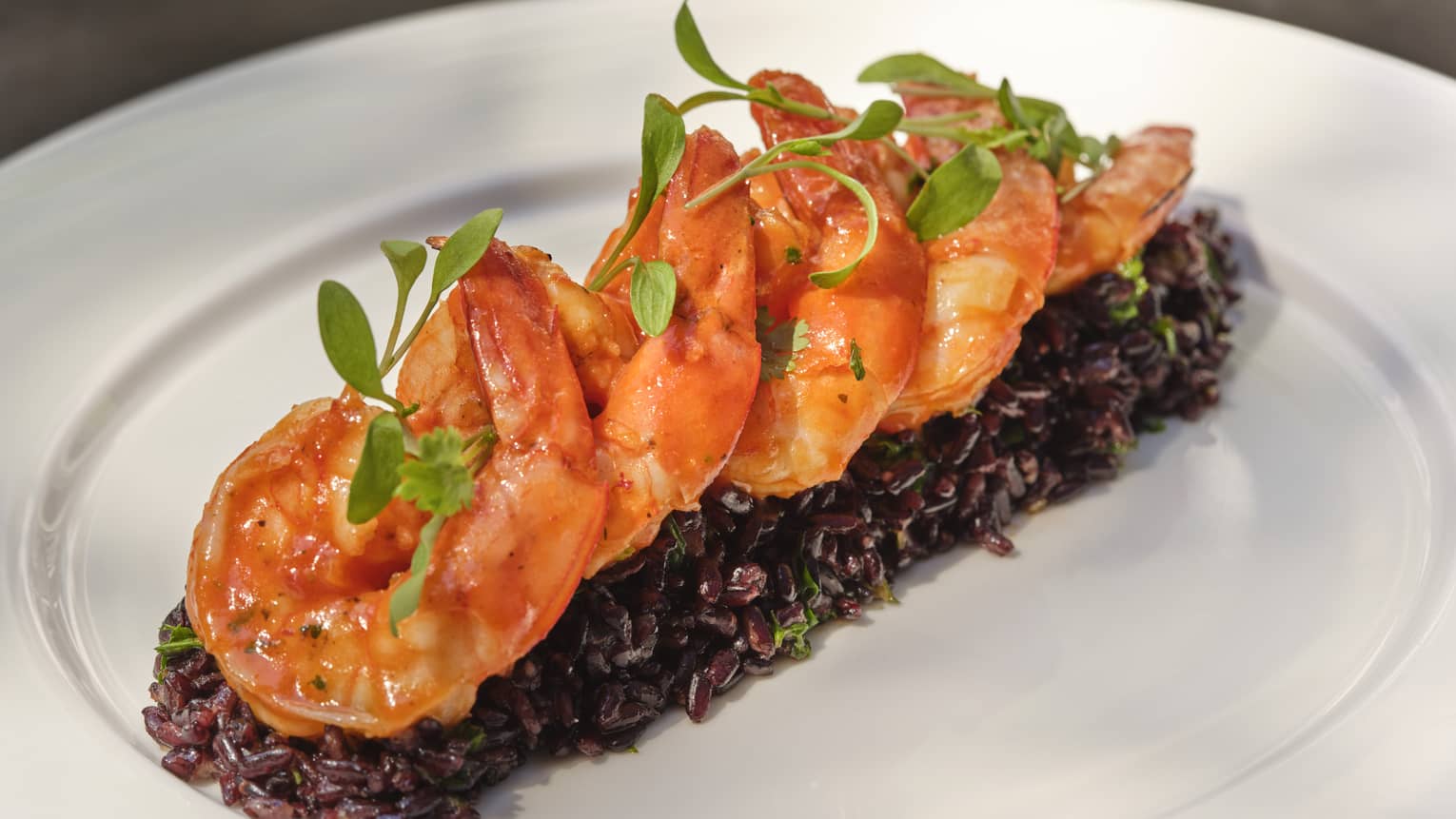 Five saucy shrimp garnished with microgreens lined up on top of black rice on white plate