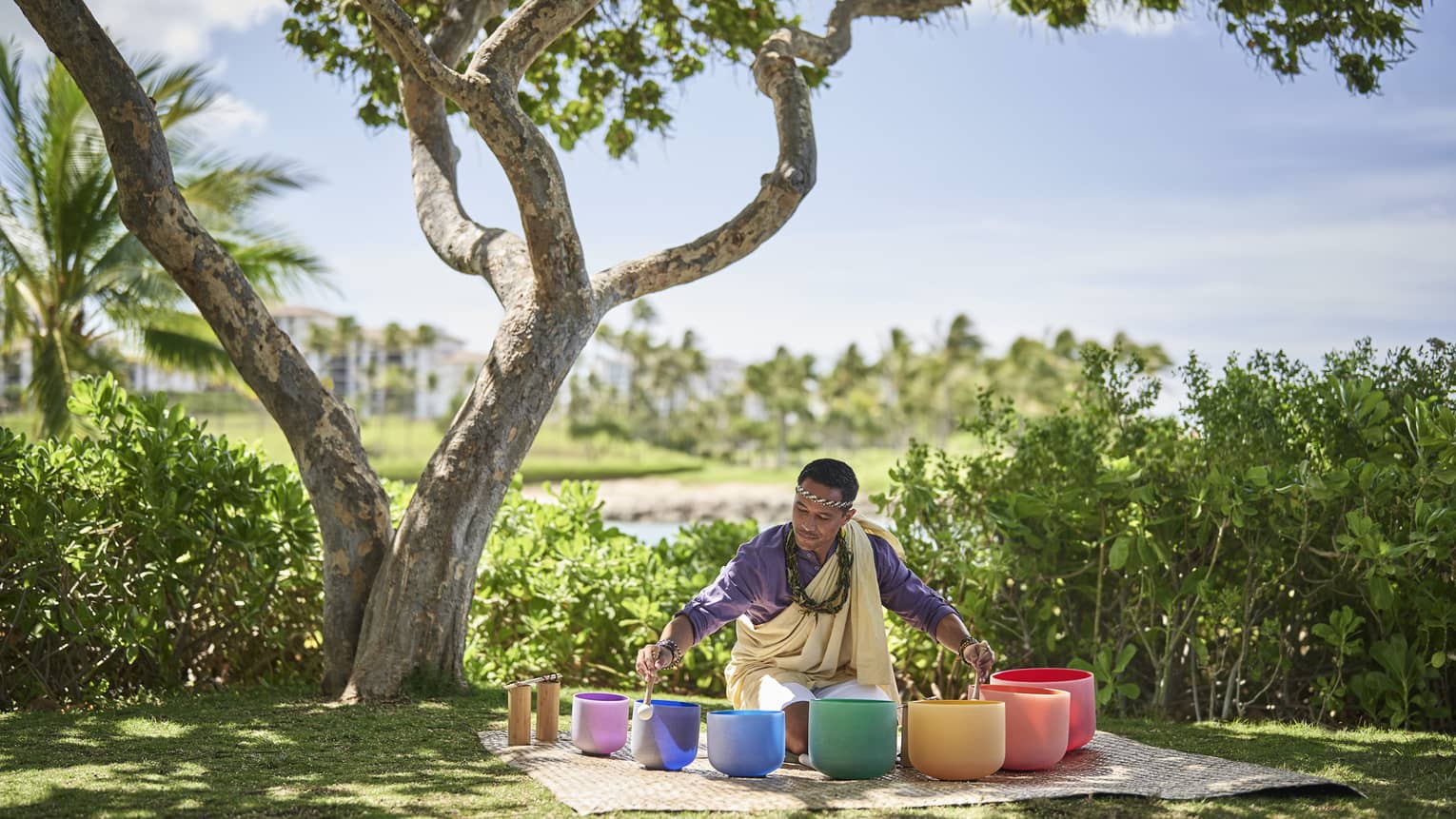 A man sits beneath a tree encircled by singing bowls of varying sizes and colours