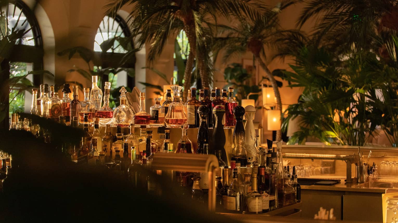 Bar area set in the centre of a room surrounded by palm trees