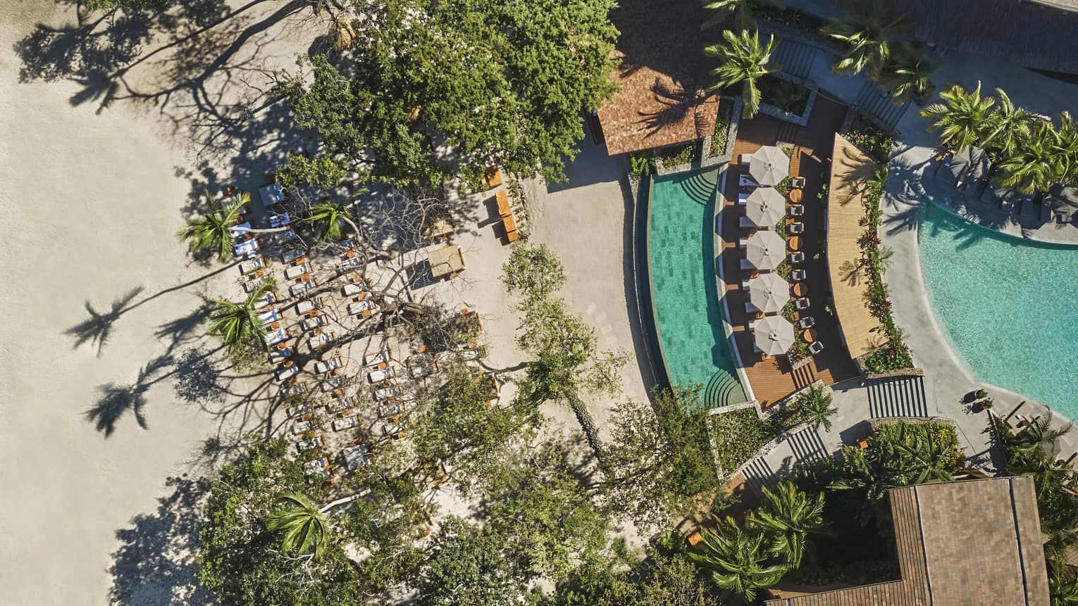 Aerial view of a row of white lounge chairs on the edge of a pool and walkways lined with tropical plants