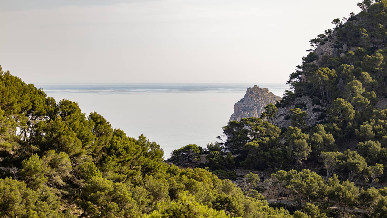 A lush valley of trees on craggy hillsides frames an expansive view of a serene ocean meeting the pale blue horizon beyond.