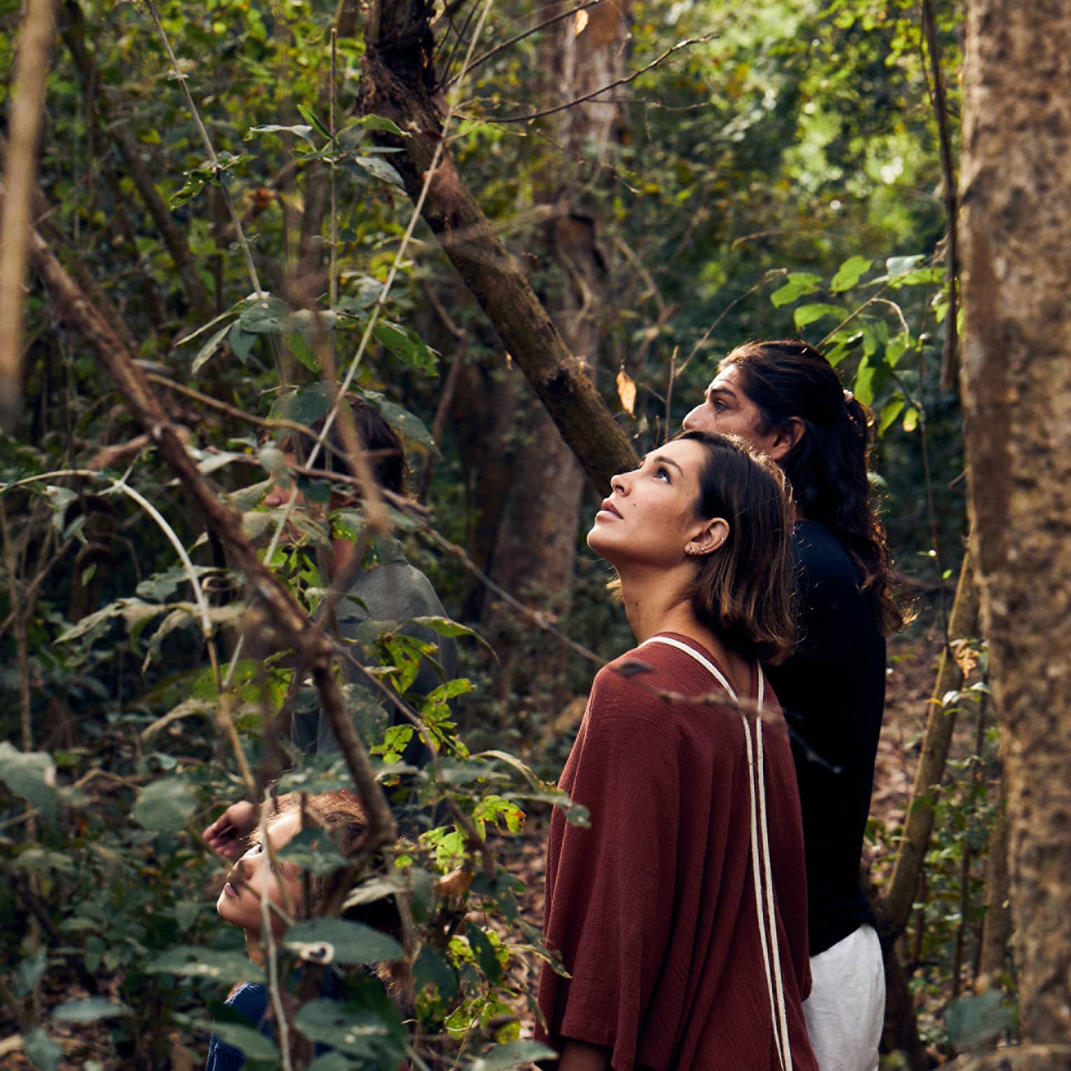 Close-up of four guests standing in a dense forest, two of them partially hidden by the foliage and two looking skyward.