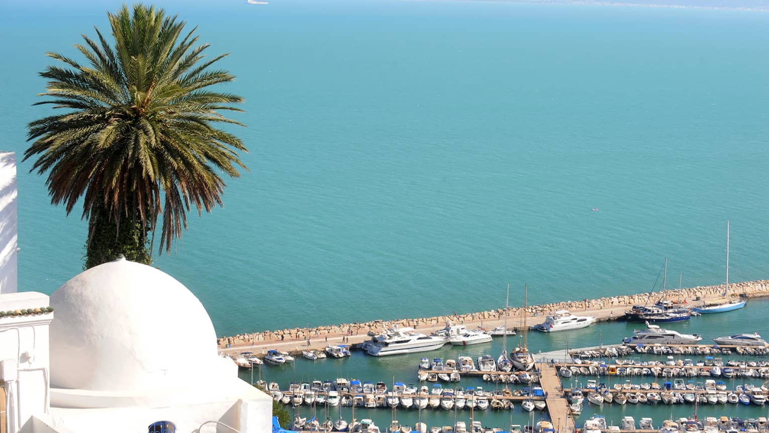 View past white post, palm tree over Mediterranean Sea, waterfront with boats, yachts lining docks