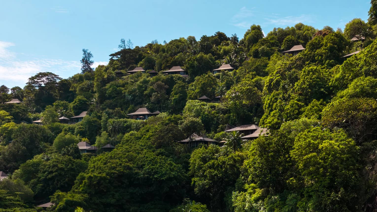 Aerial view of a secluded resort villas nestled in a lush green landscape near a white-sand beach with clear turquoise waters