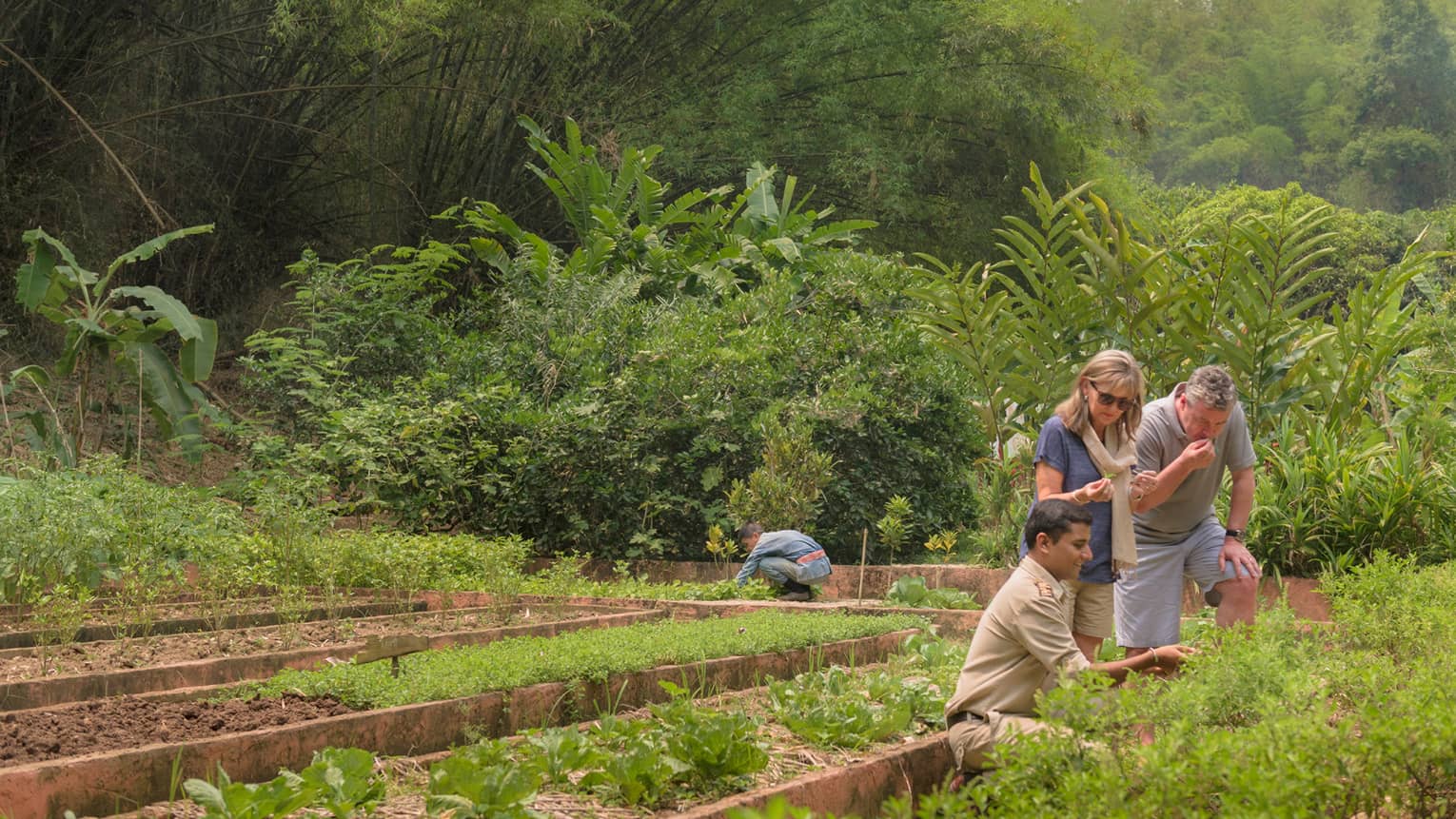 Couple is shown regional herbs, fruits and vegetables by kneeling staff member in lush garden