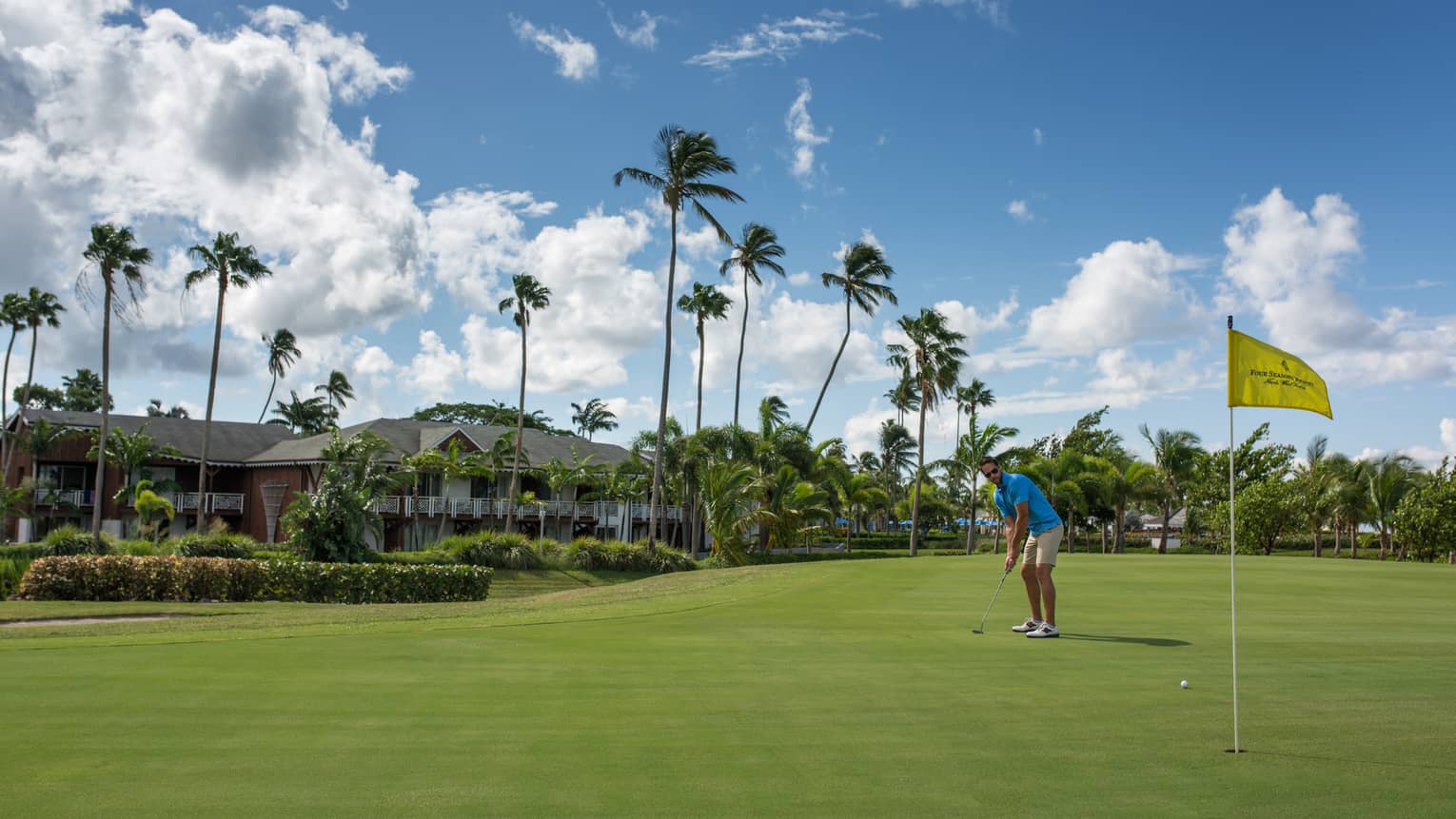 Golfer puts ball toward yellow flag on golf course green, tall palm trees