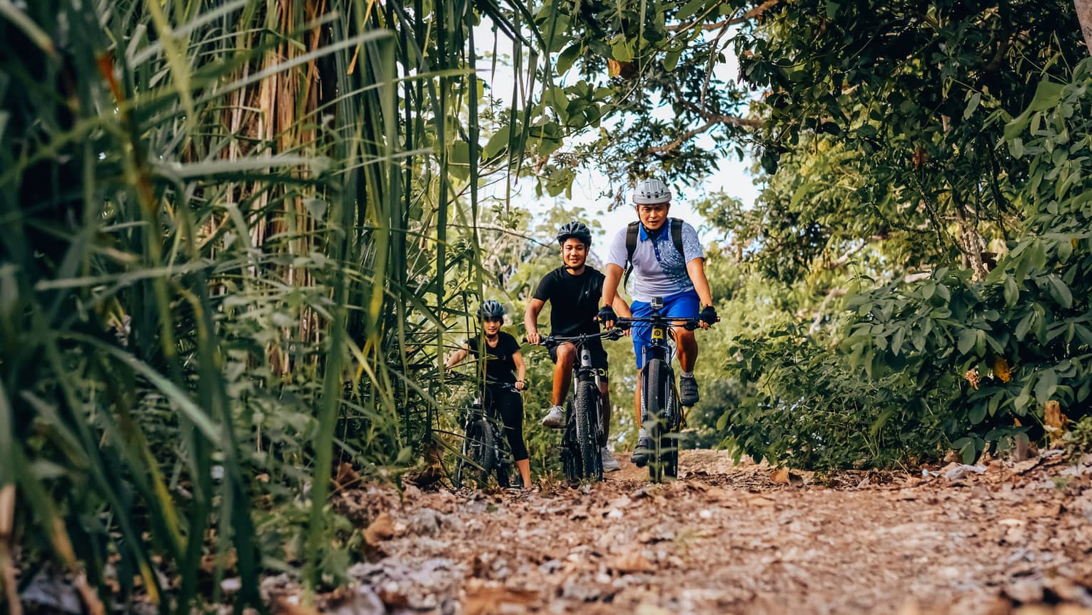 Three friends bike through the bamboo forest