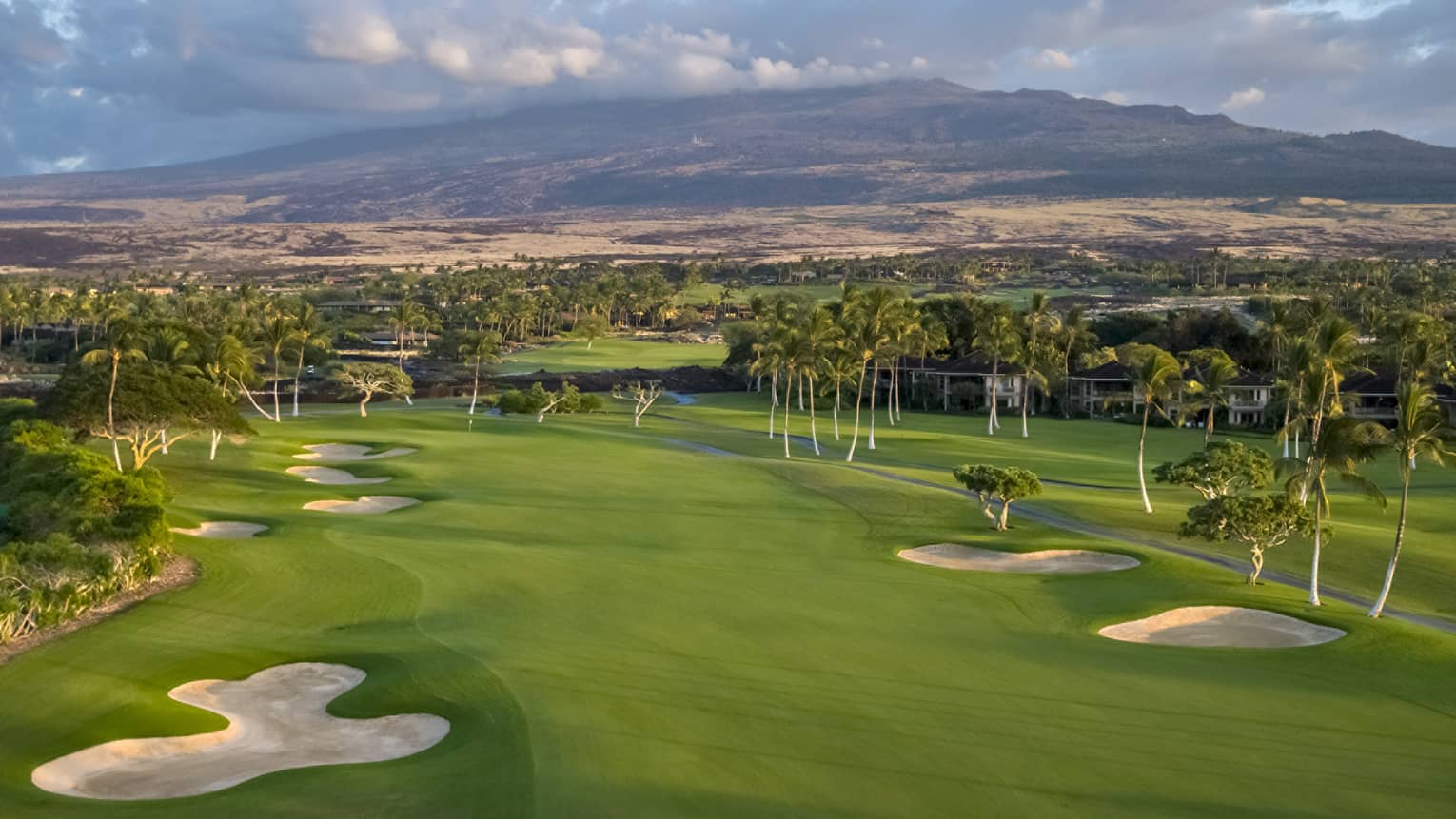 A golf course with greens, sand pits and trees.