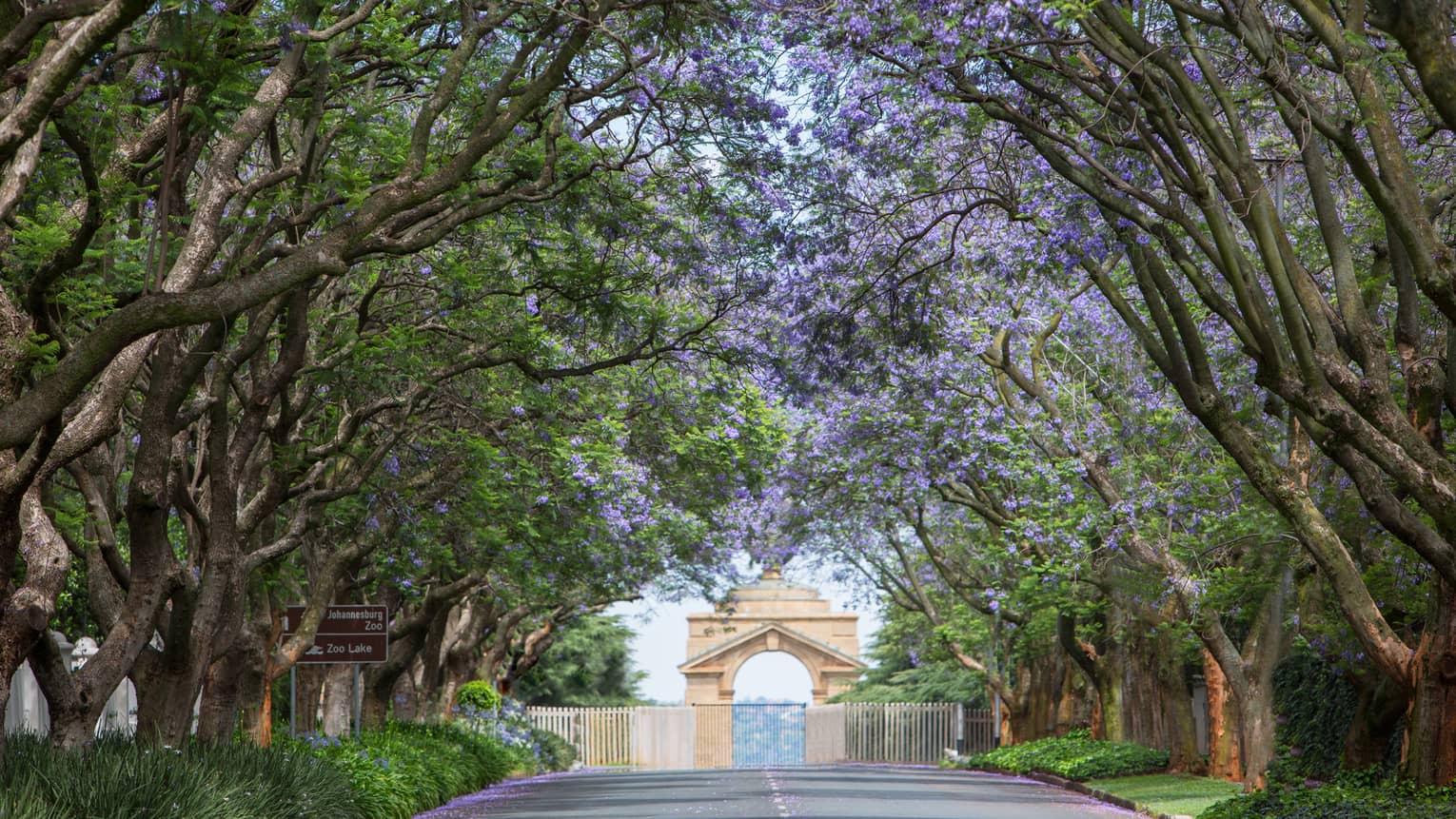 Archway at end of road under canopy of trees