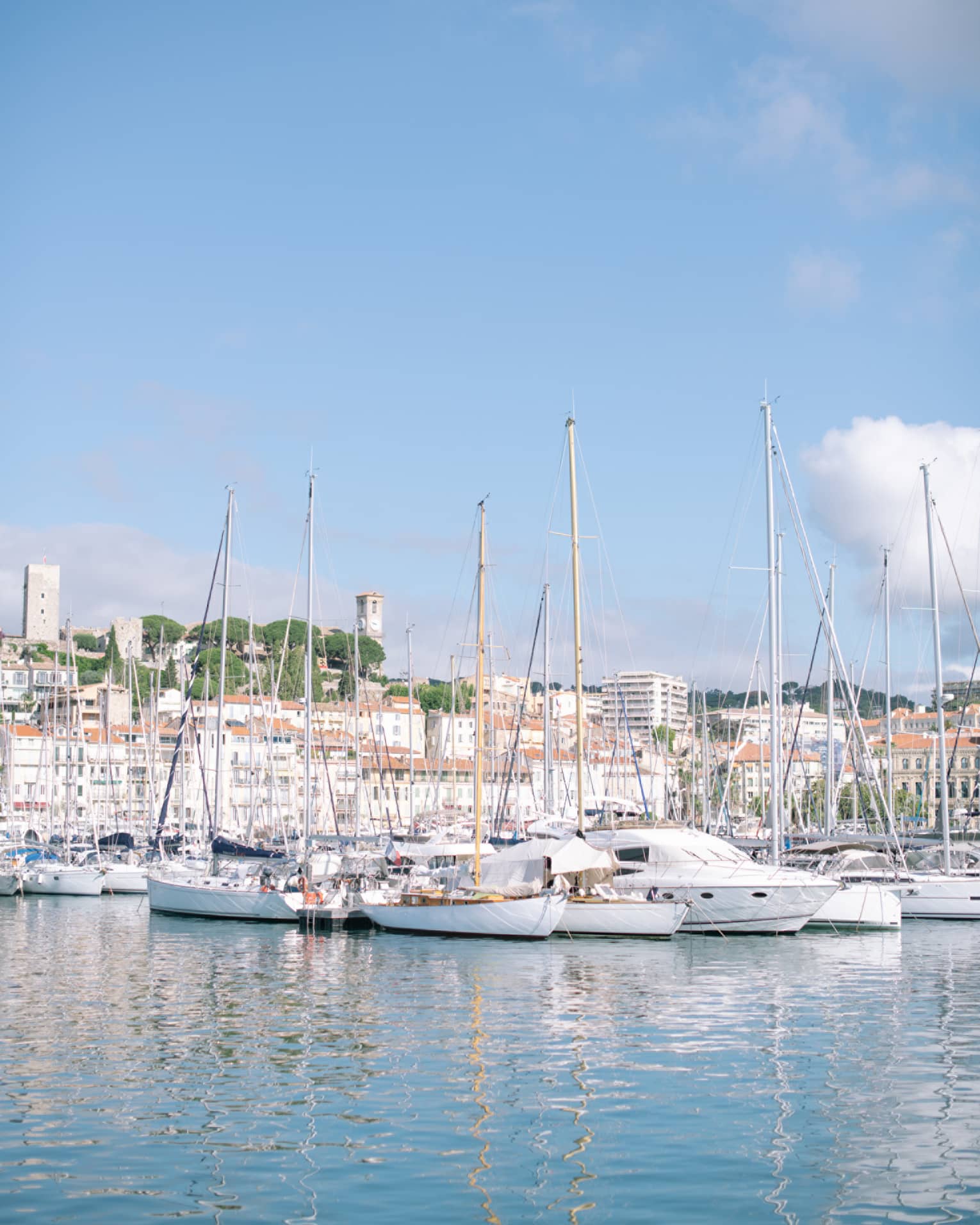 Multiple sailboats docked at a harbour