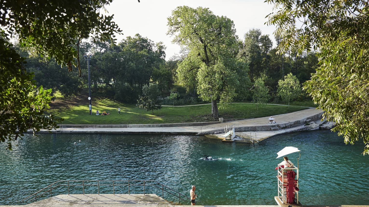 A watering hole surrounded by grass and trees, a person is swimming from one side to the other.