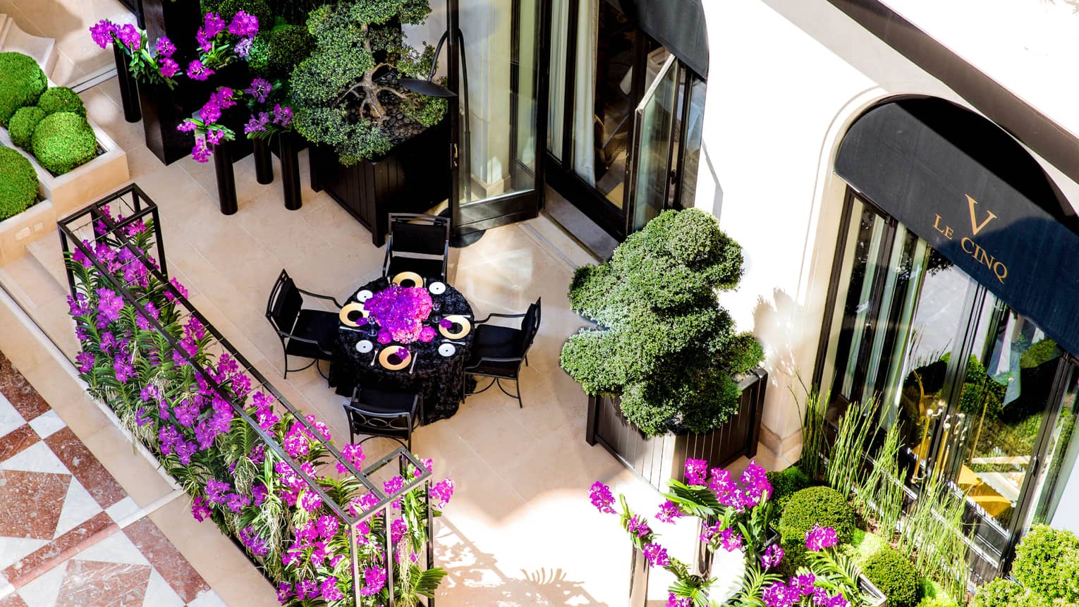 Aerial view of dining table on street-side patio, purple flowers, shrubs