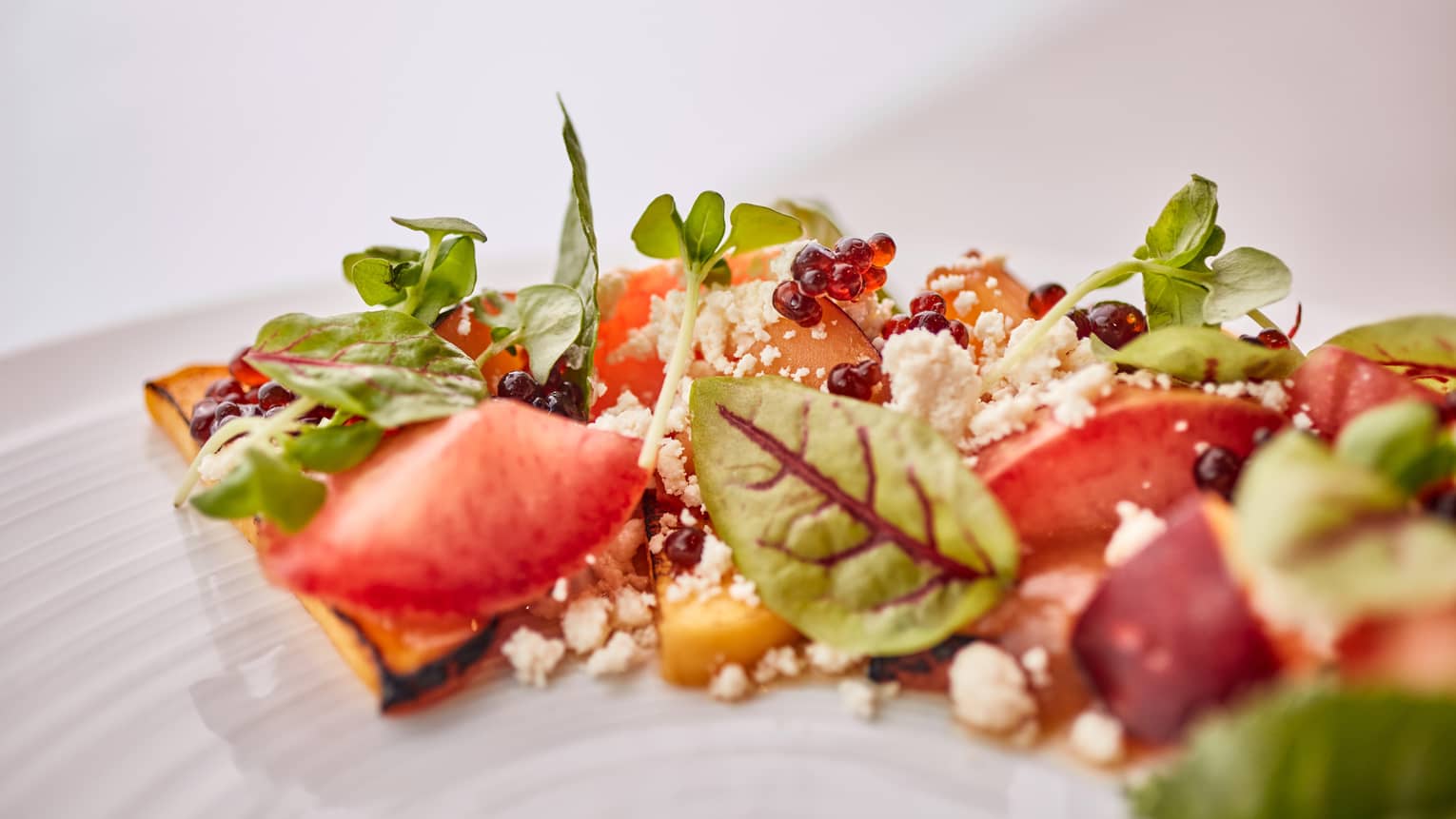 A salad of green leaves, tomatoes, and herbs on a white plate.