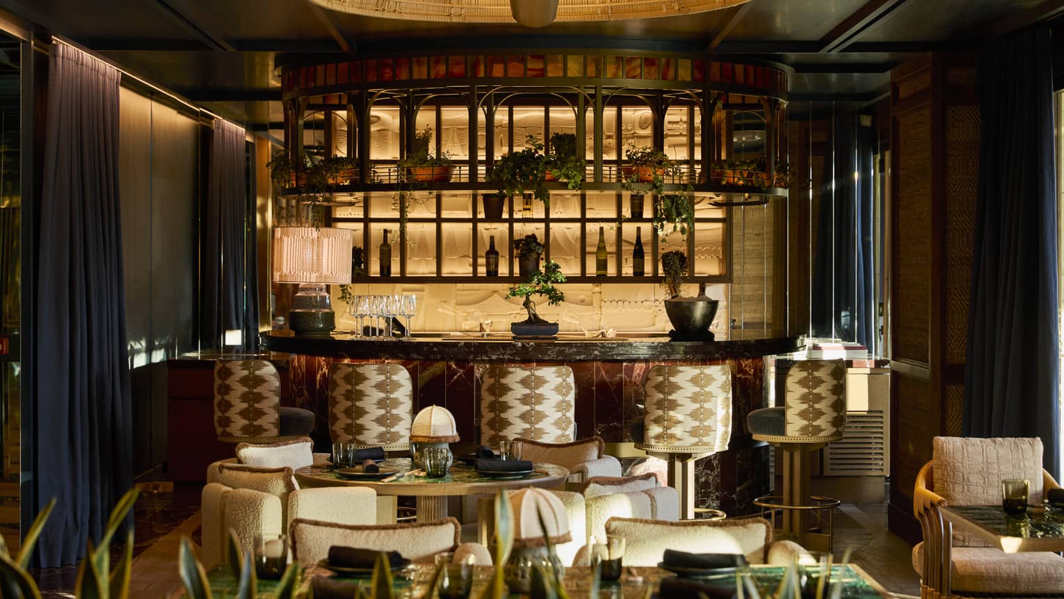 A modern bar area with patterned bar stools, wooden shelving and green plants