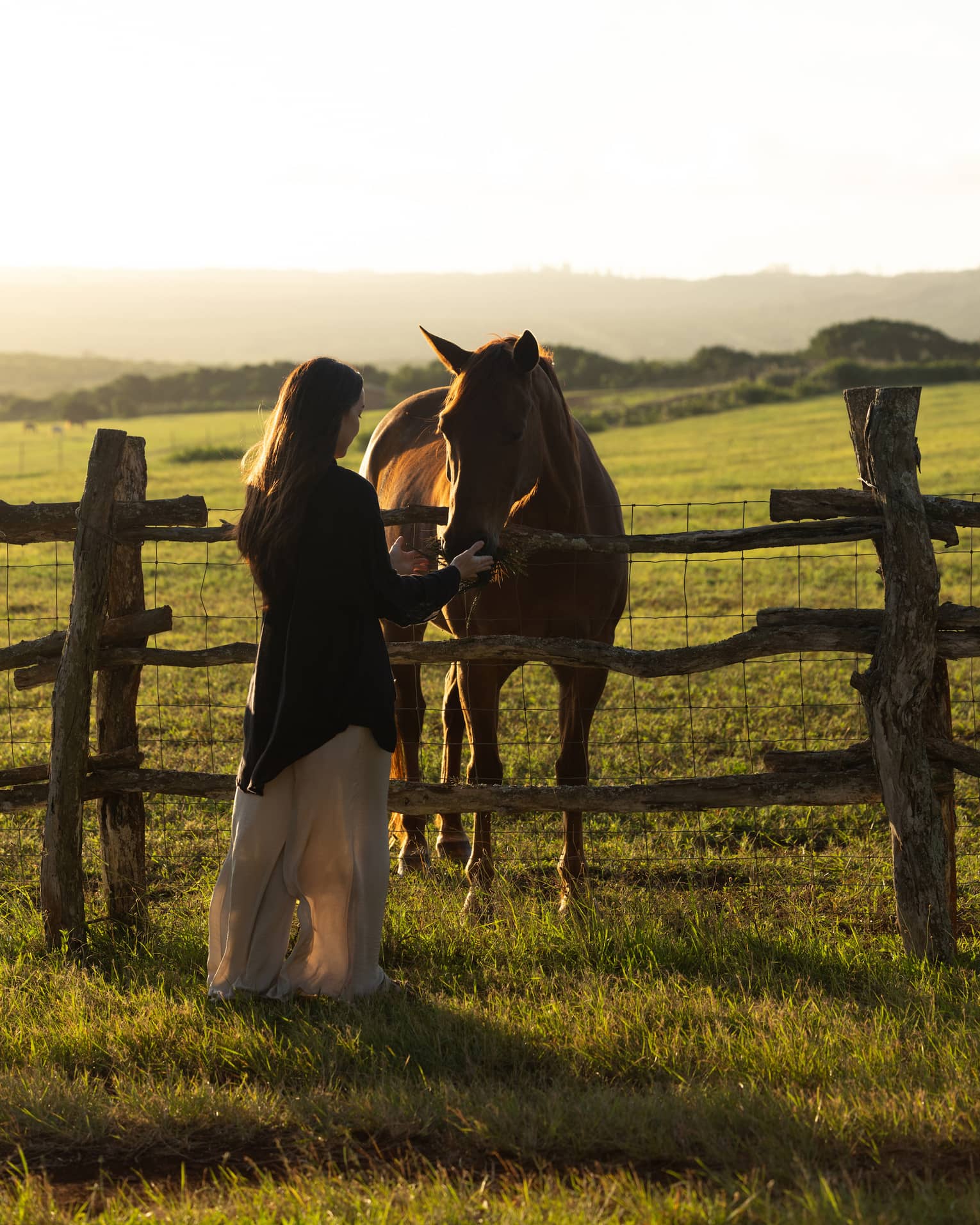 A woman pets a horse in a grass field at sunset