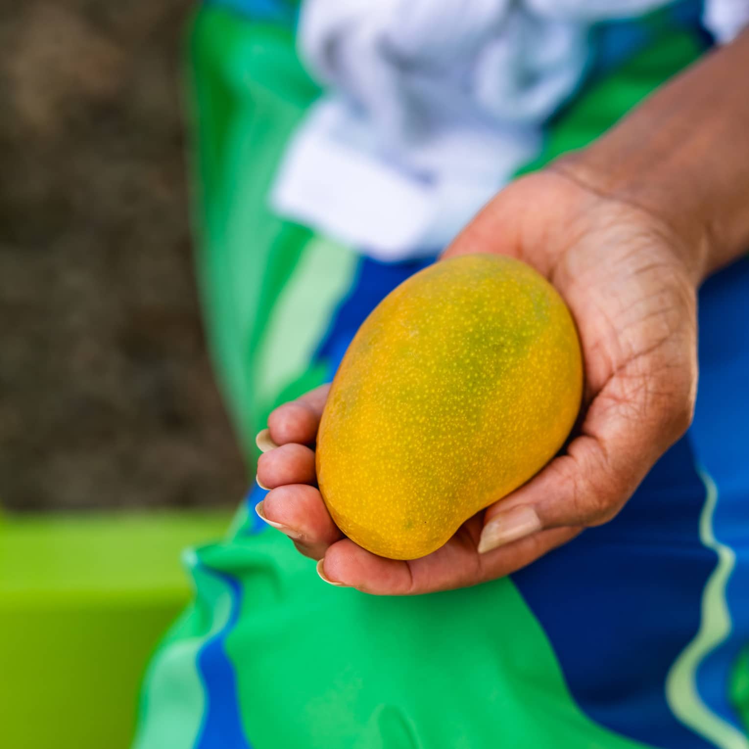 A guest wearing a blue and green outfit and holding a mango in their hand