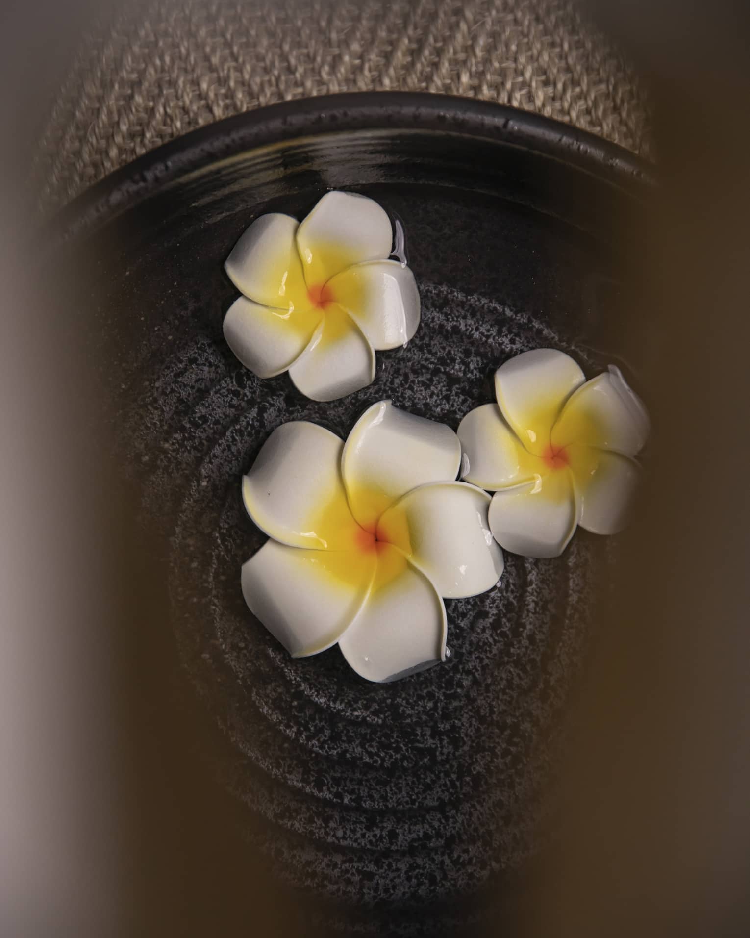 Three flowers in bowl at luxury hotel spa
